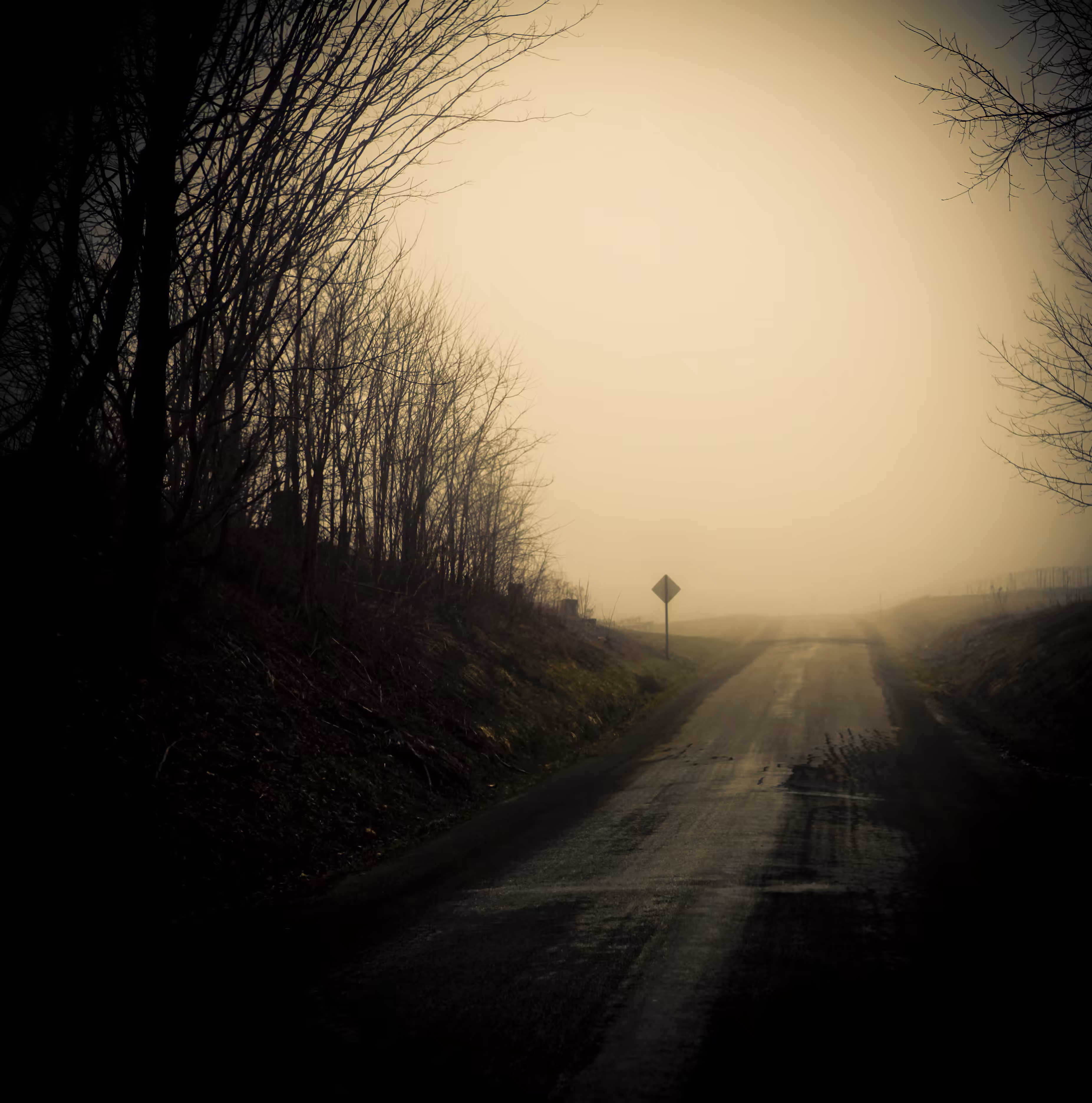 In The Distance