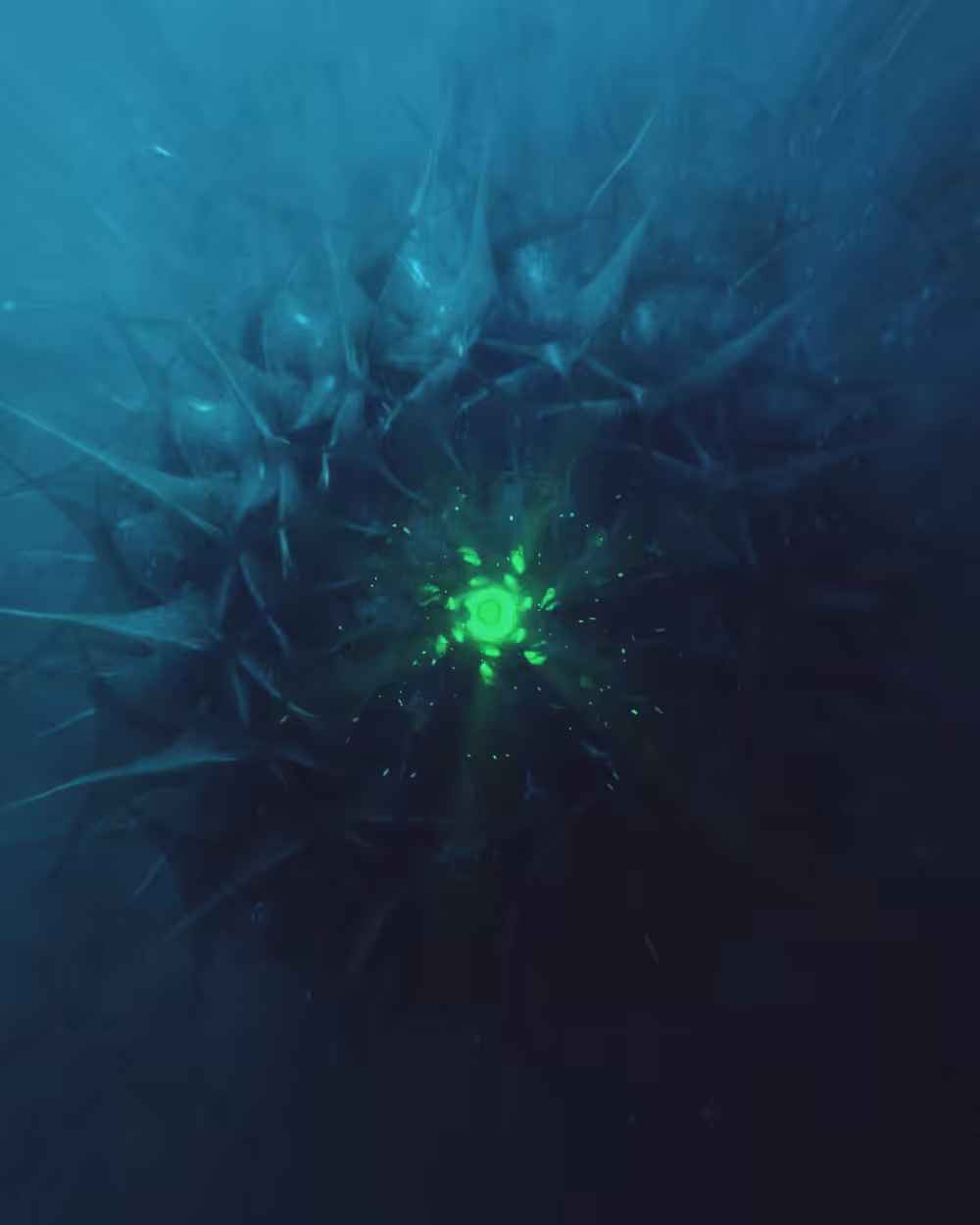 Undersea world