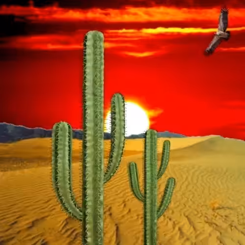 Cacti