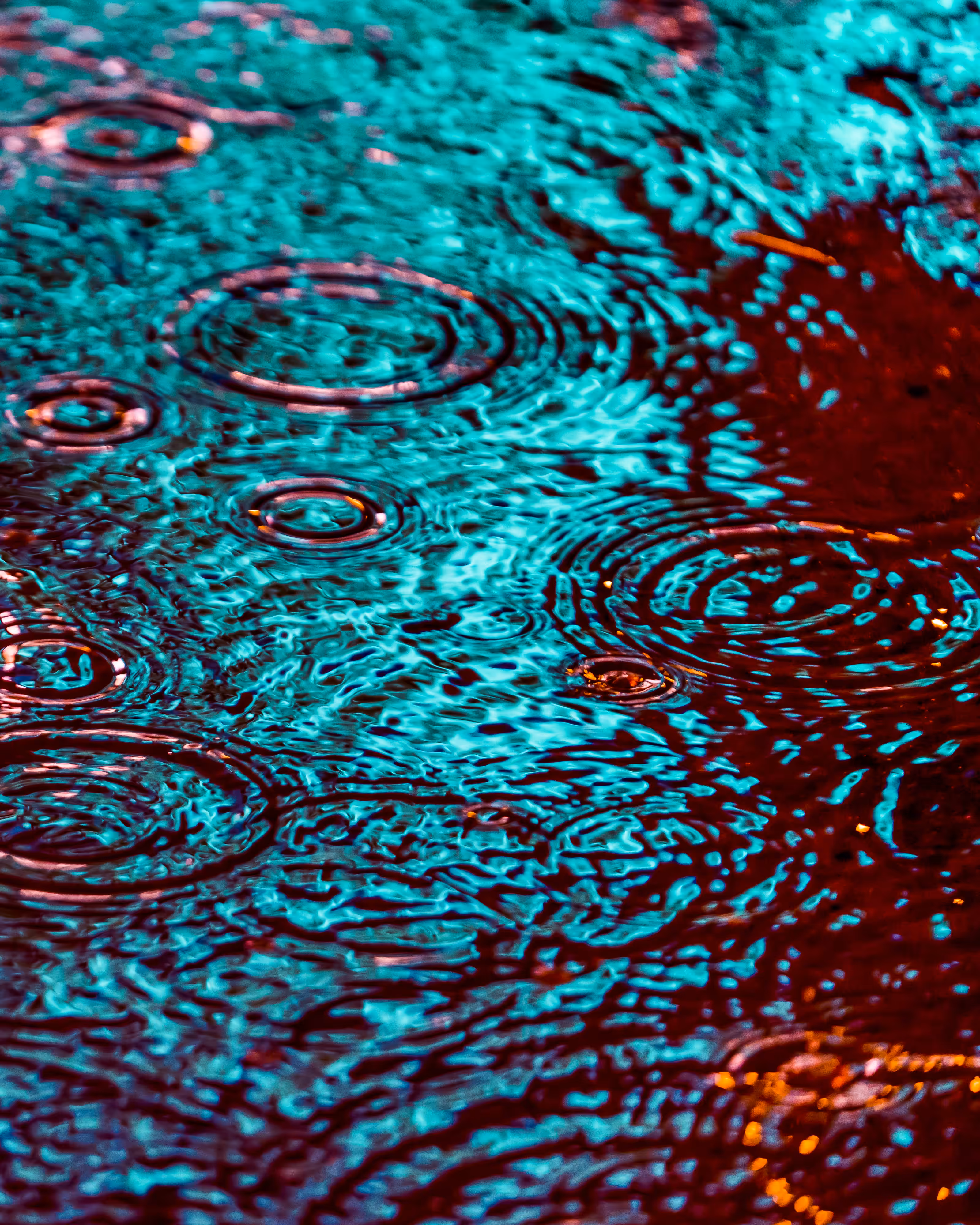 DRIP DROP: DRIP #295