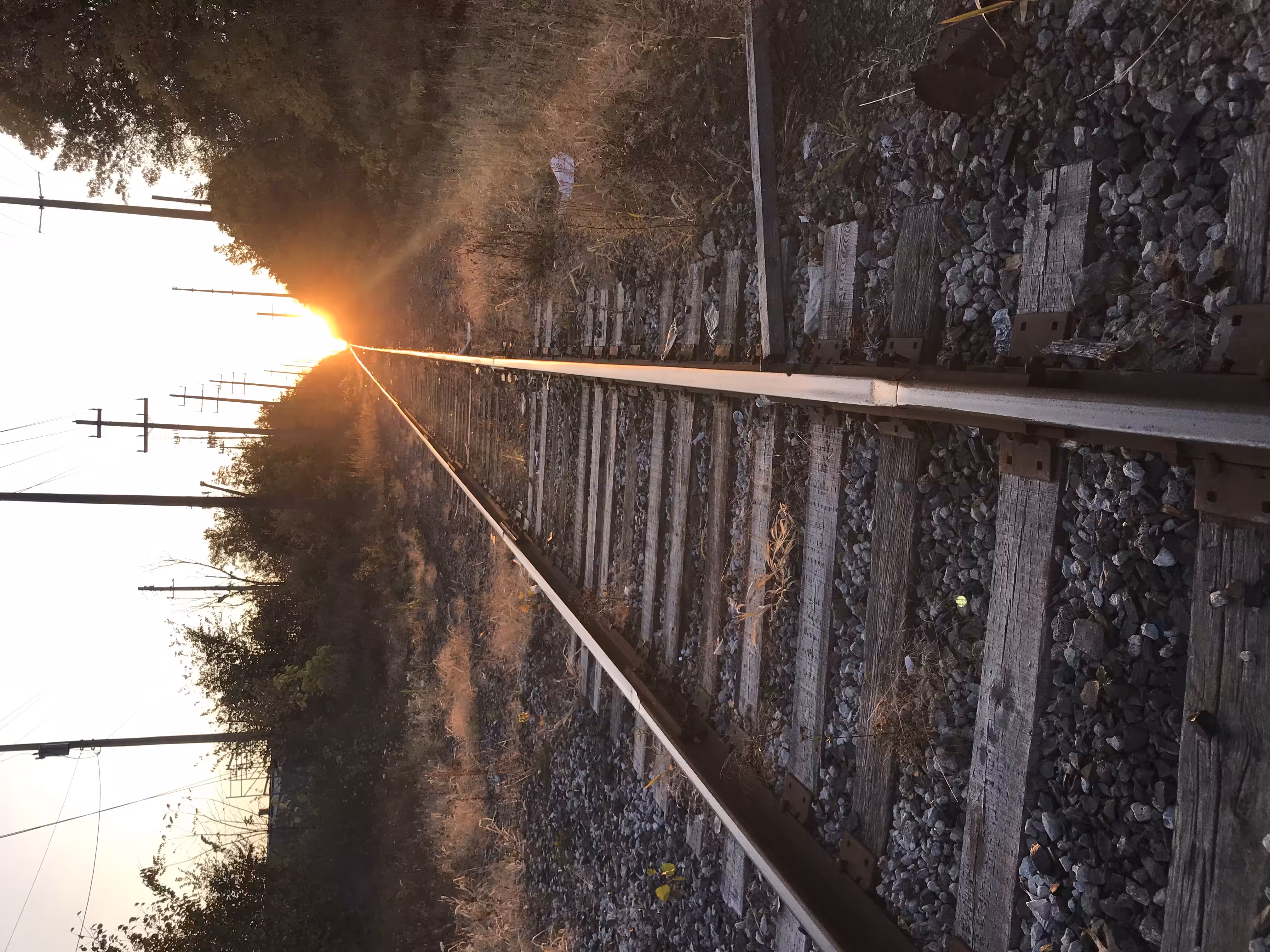 The Tracks