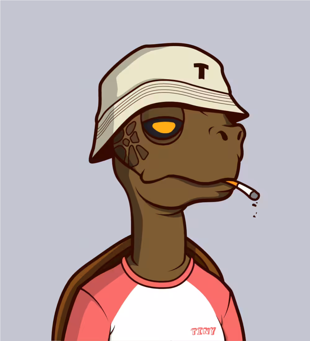 Tiny Turtle 161