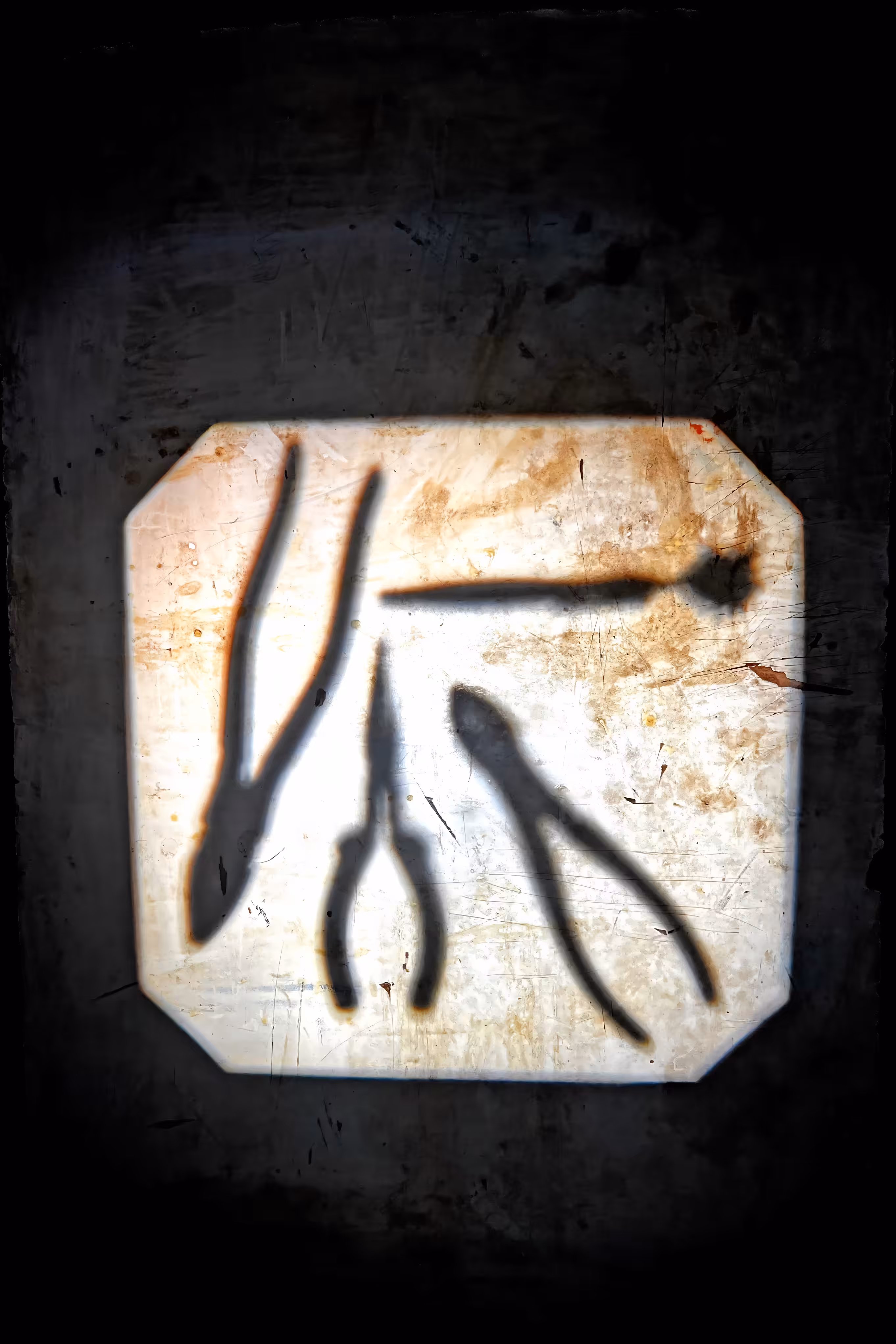 projections_008