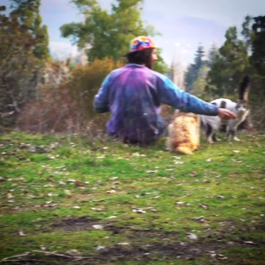 Cats lifestyle