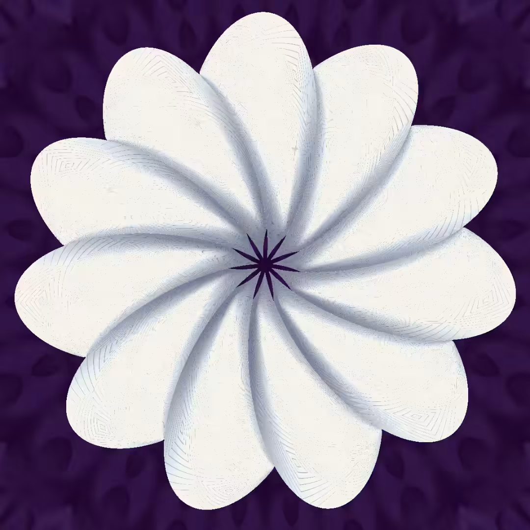 White B Flat Note