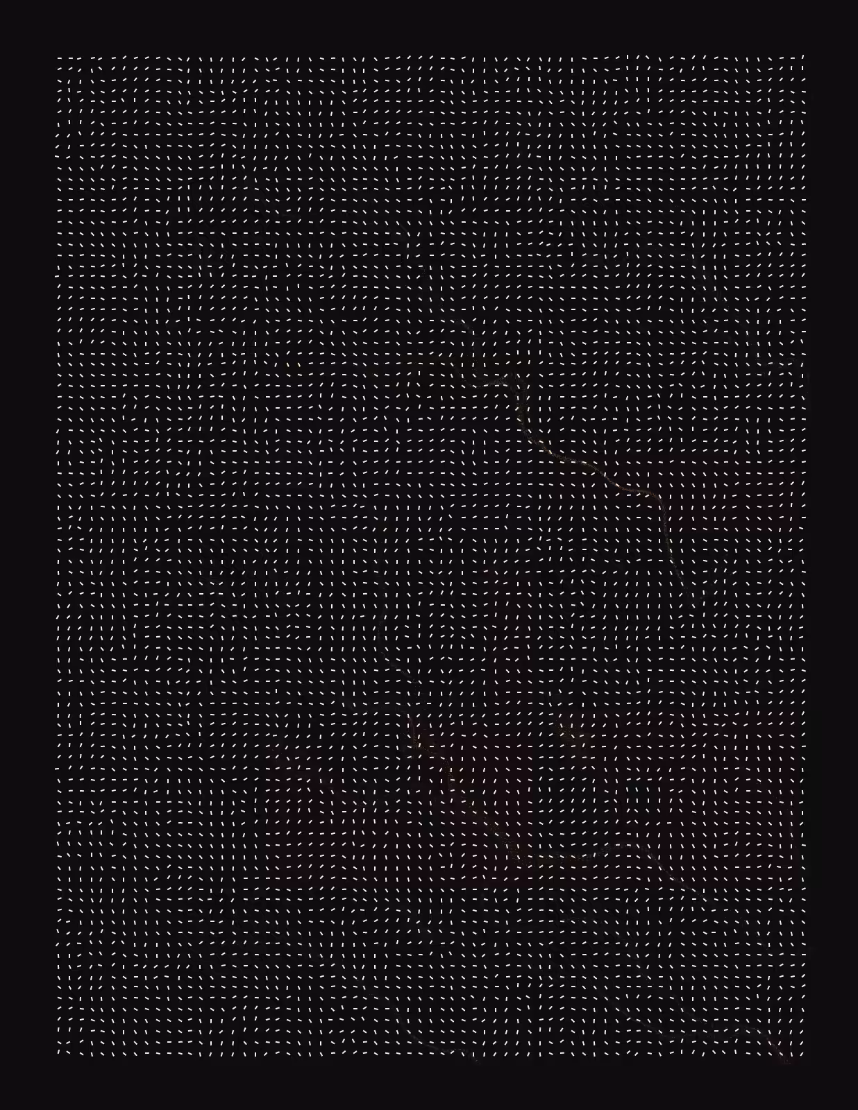 fx(flowField) #19