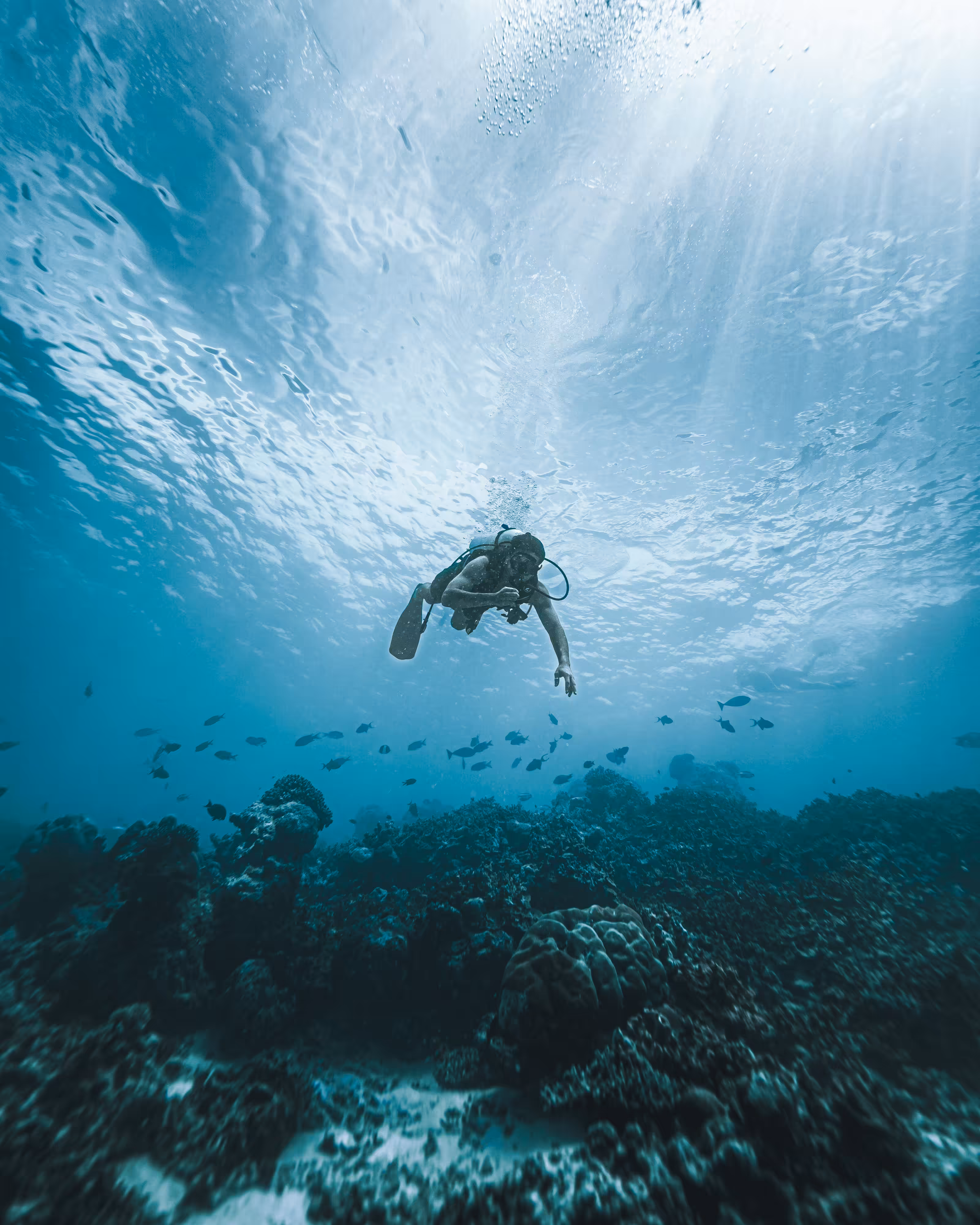 “Into The Blue” #57