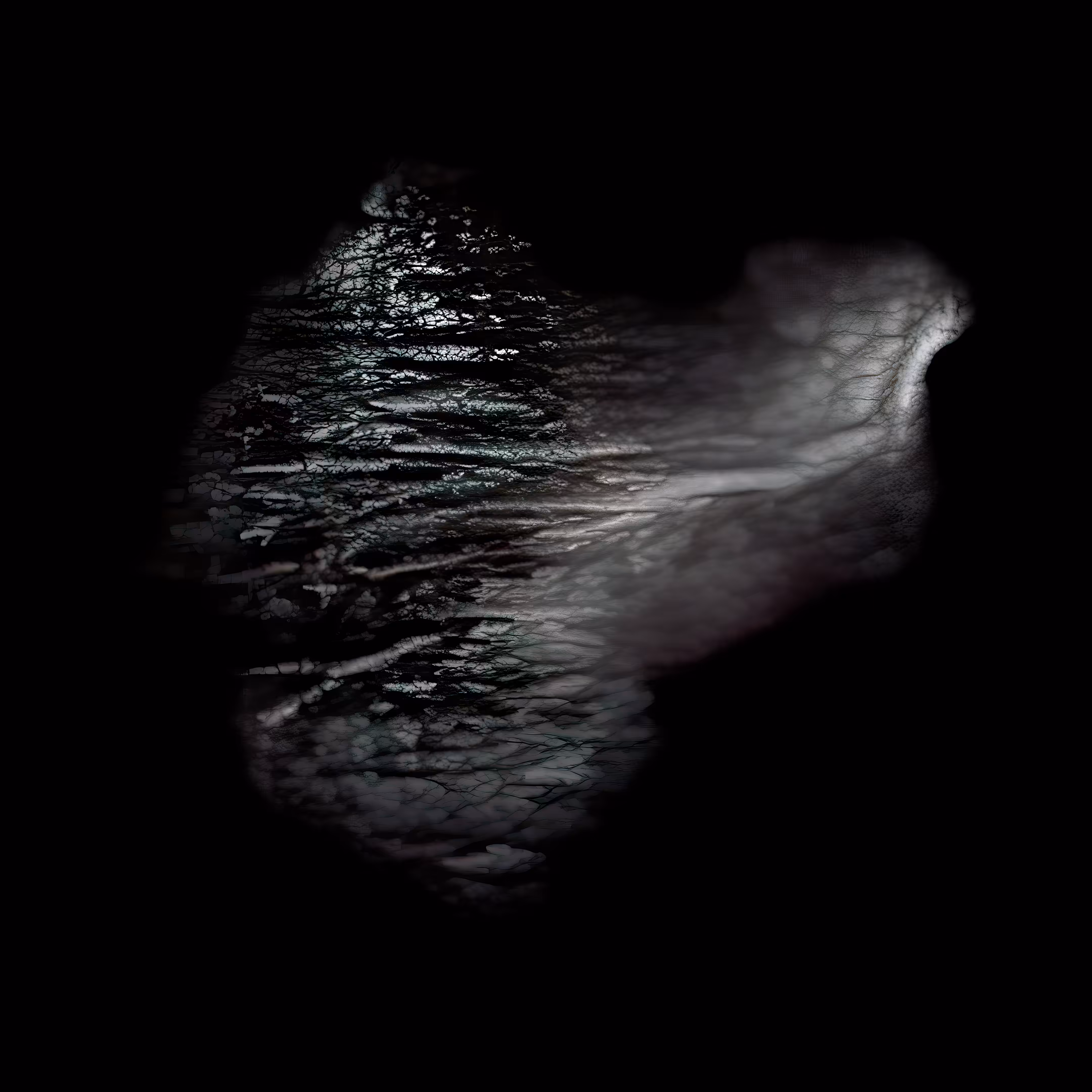 Recherché Remains #4