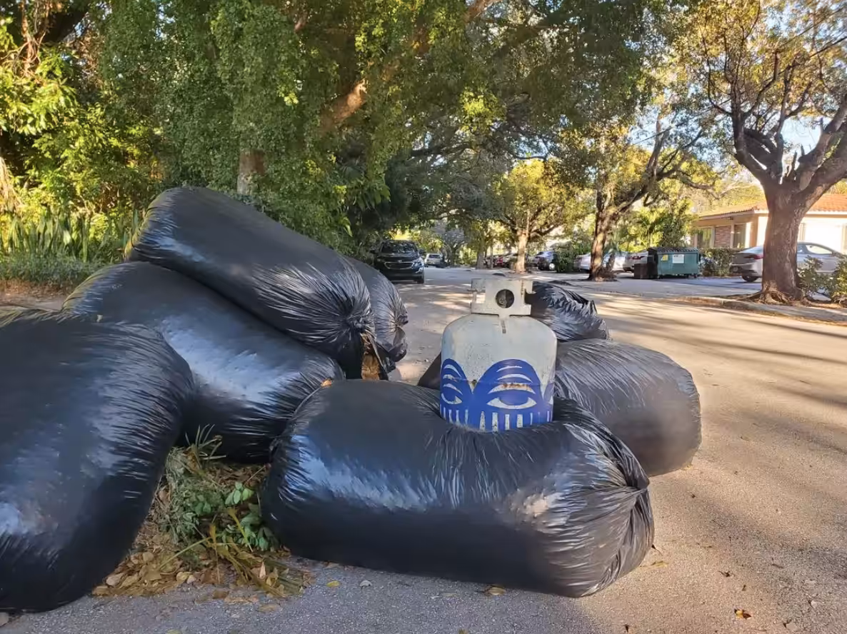Geographies of Trash - 730