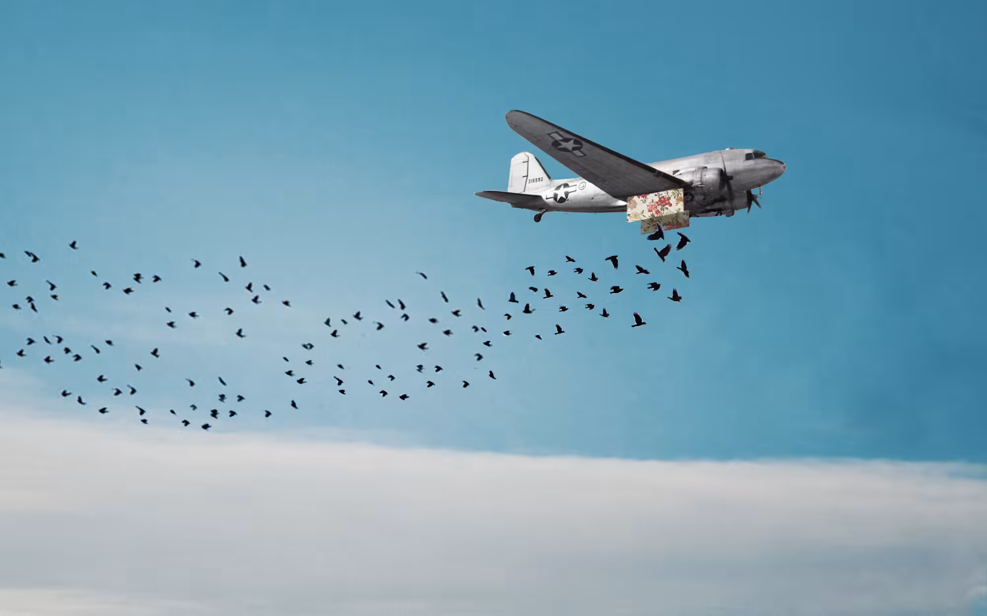Birding
