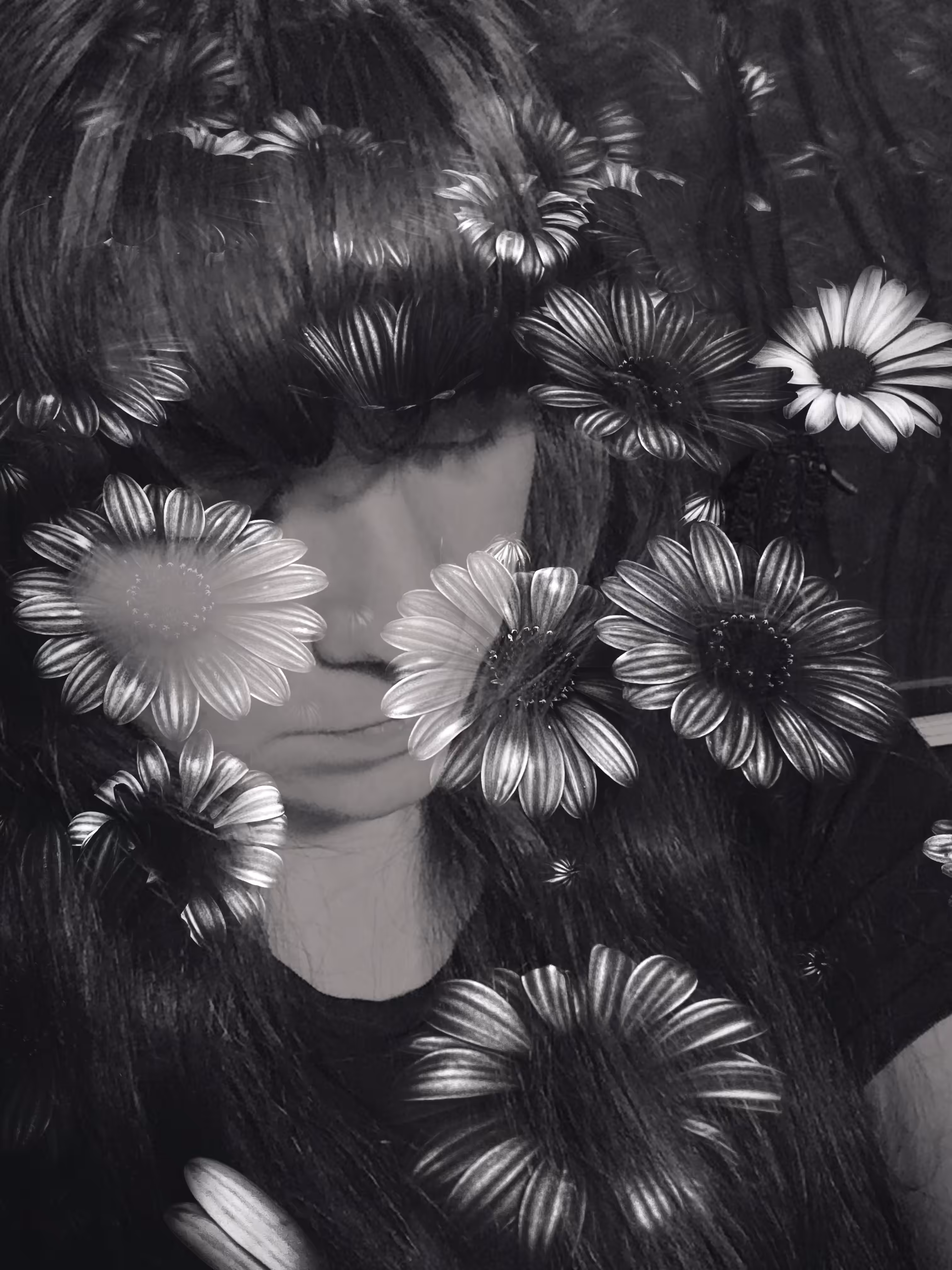 Daydream in Shadow