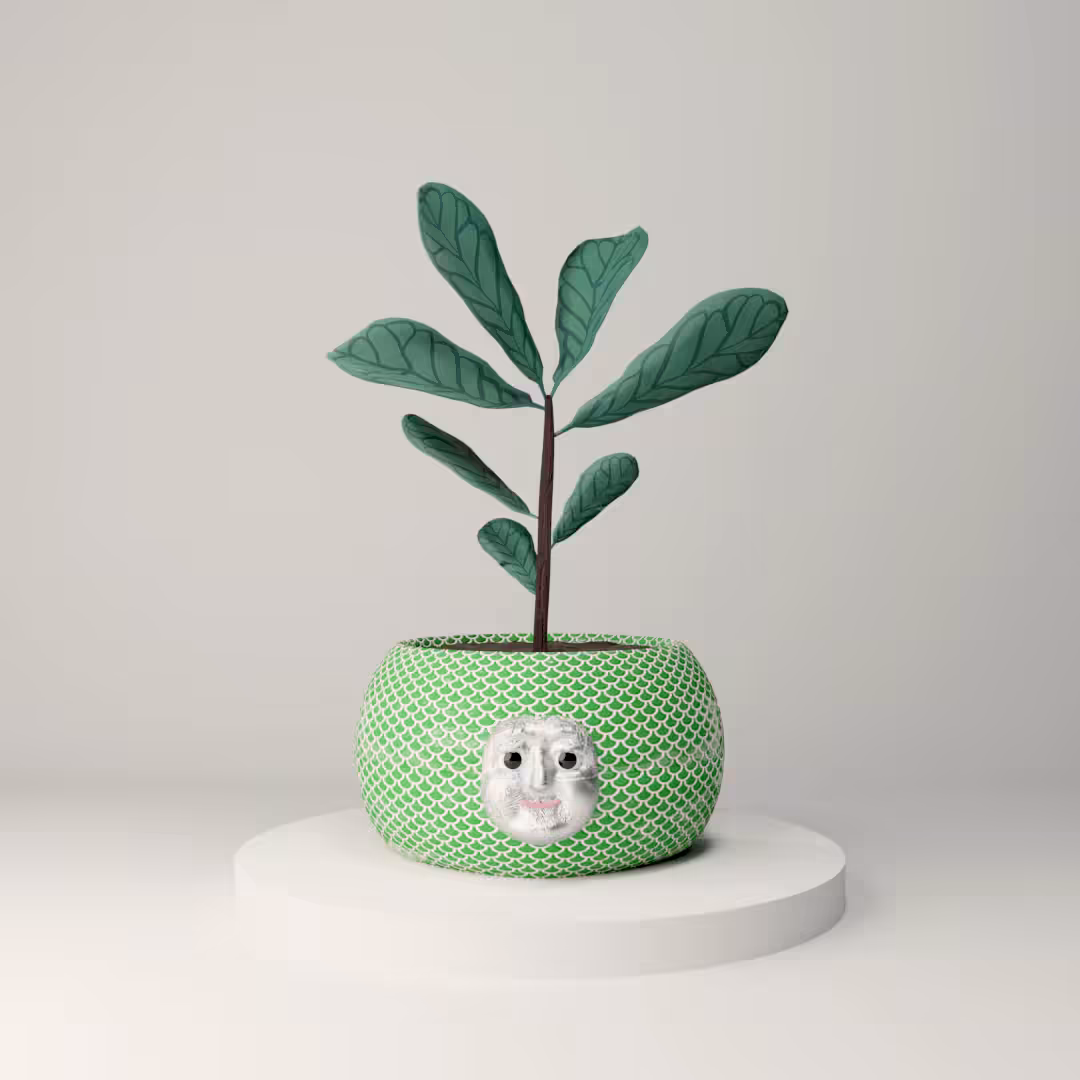 houseplant 006