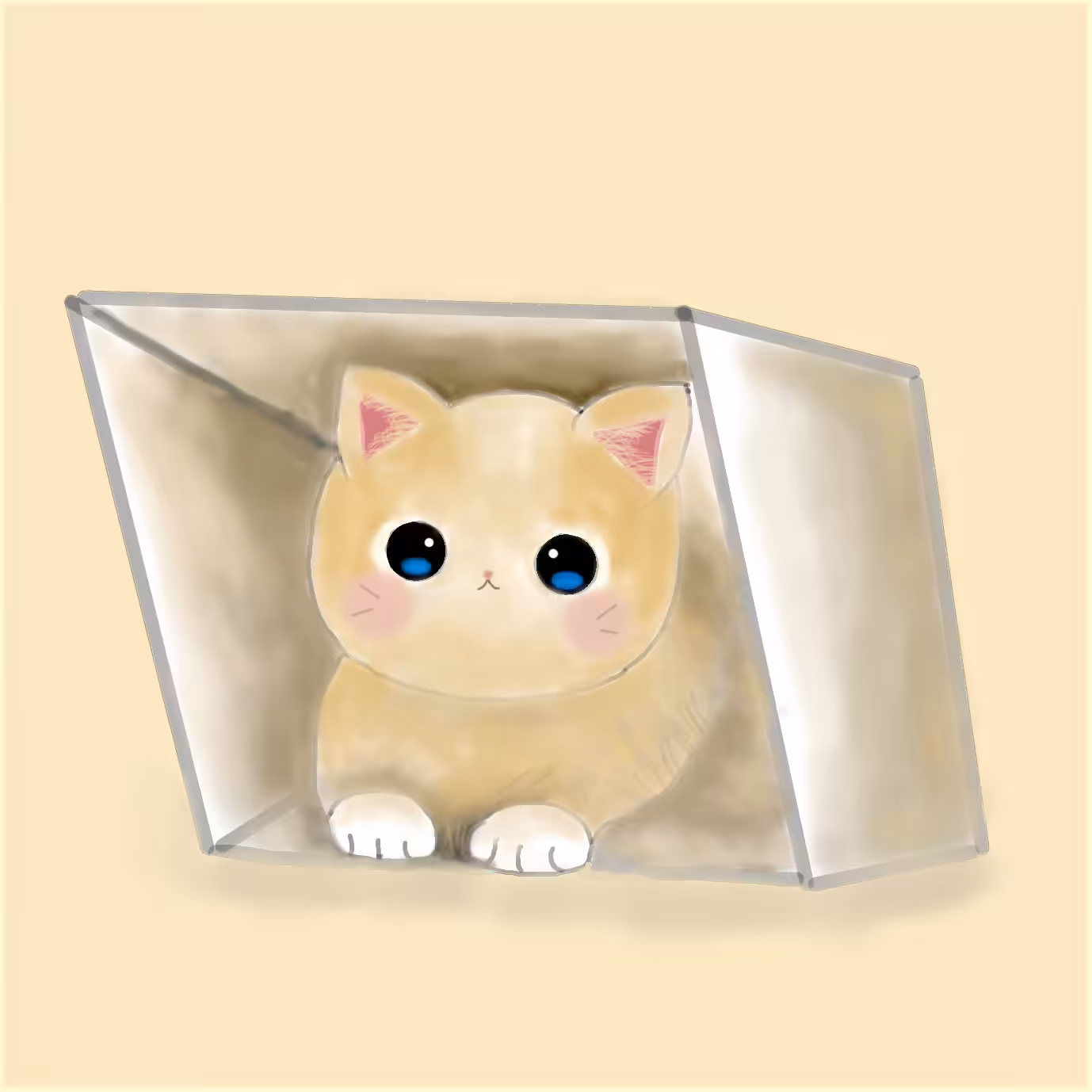 Kitty in box