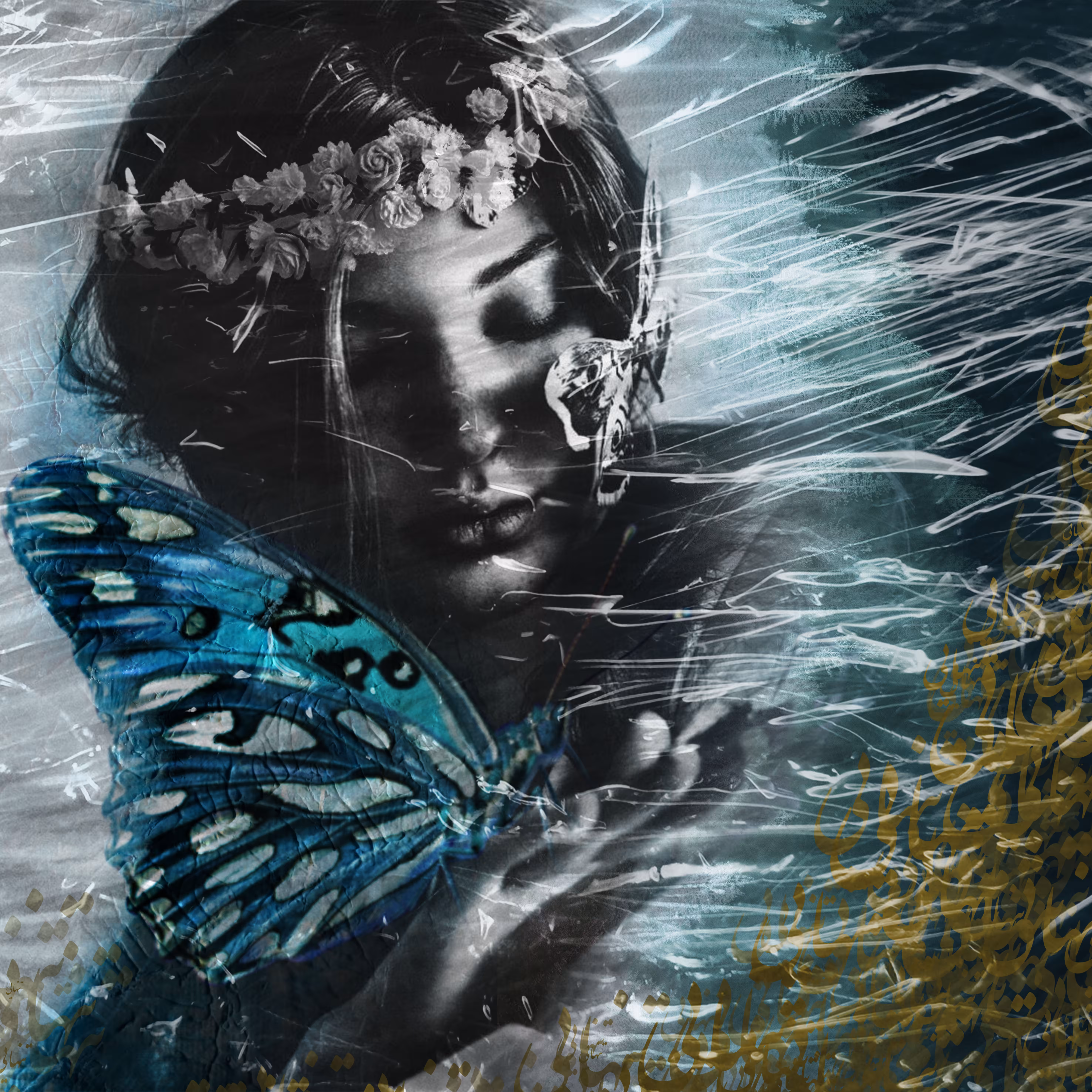 cocoon
