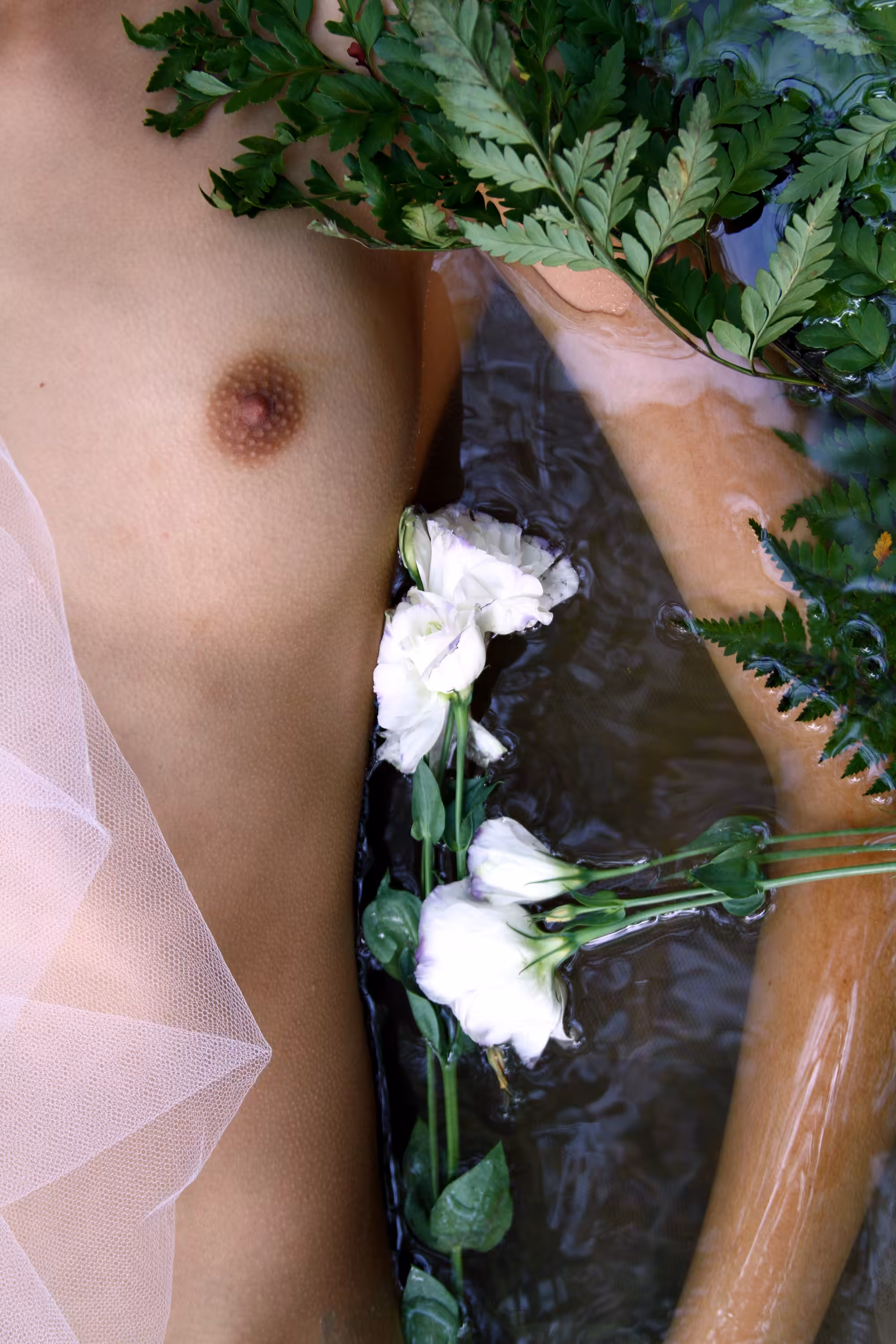 Jardim Secreto #4