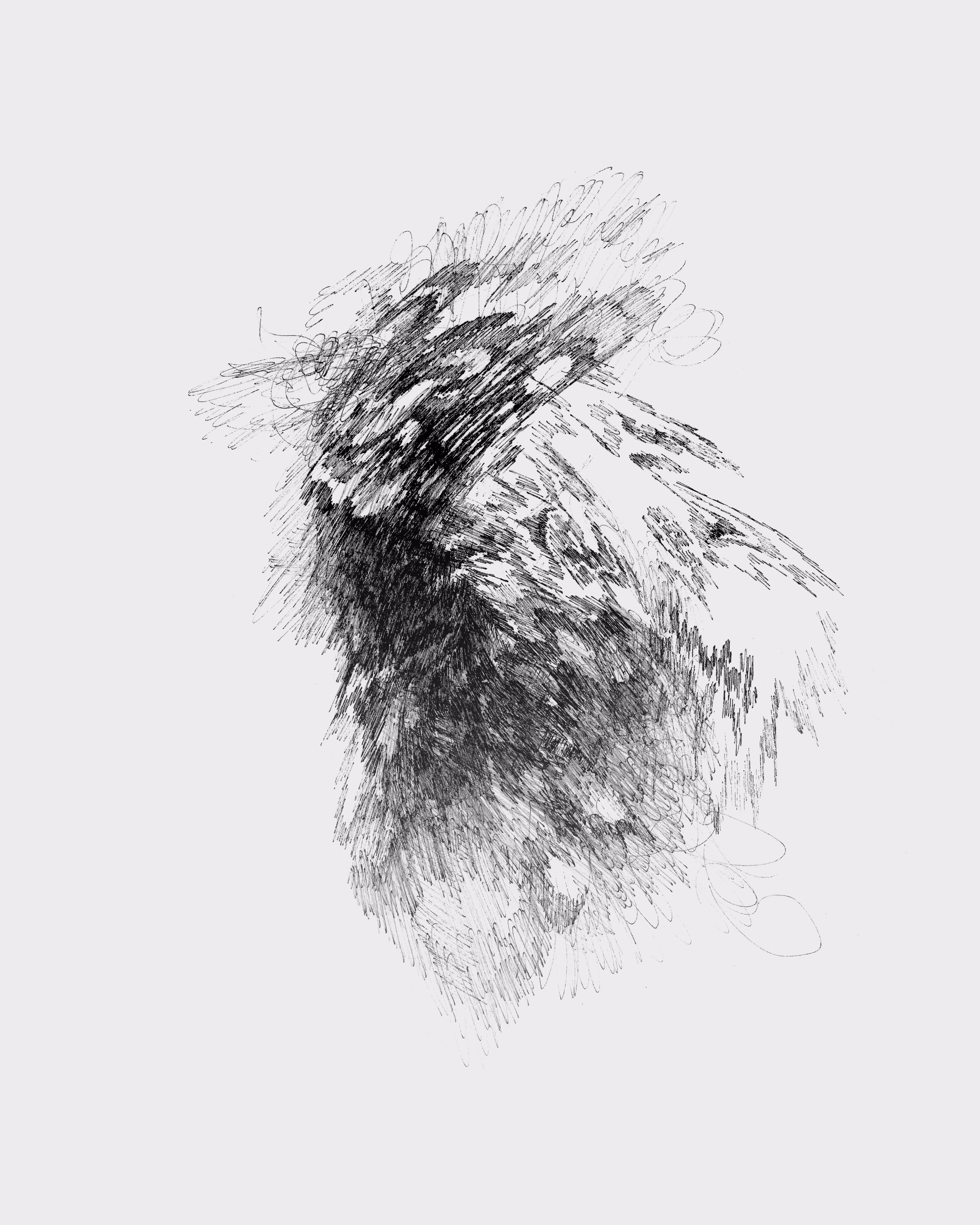Antracital #4