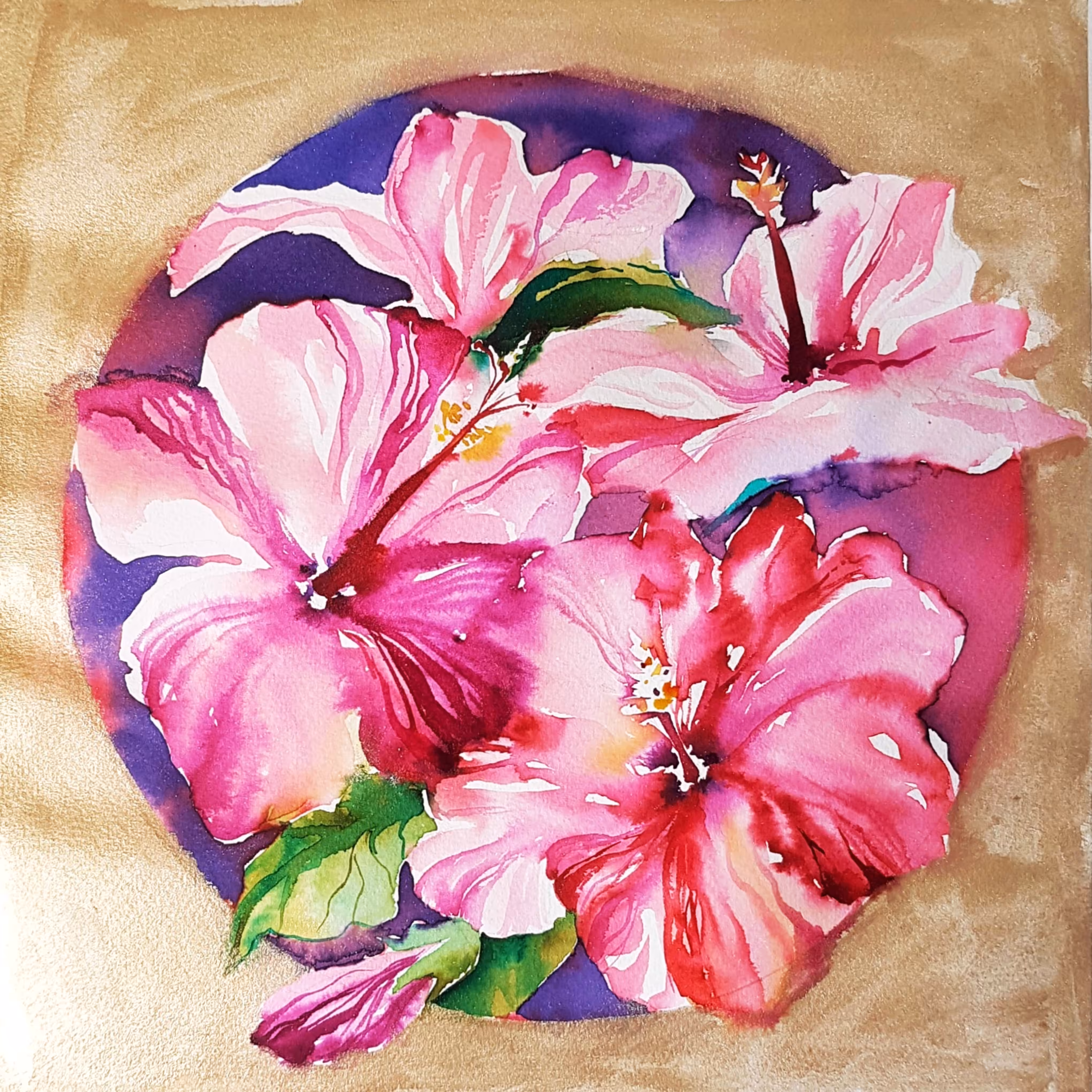Hibiscus
