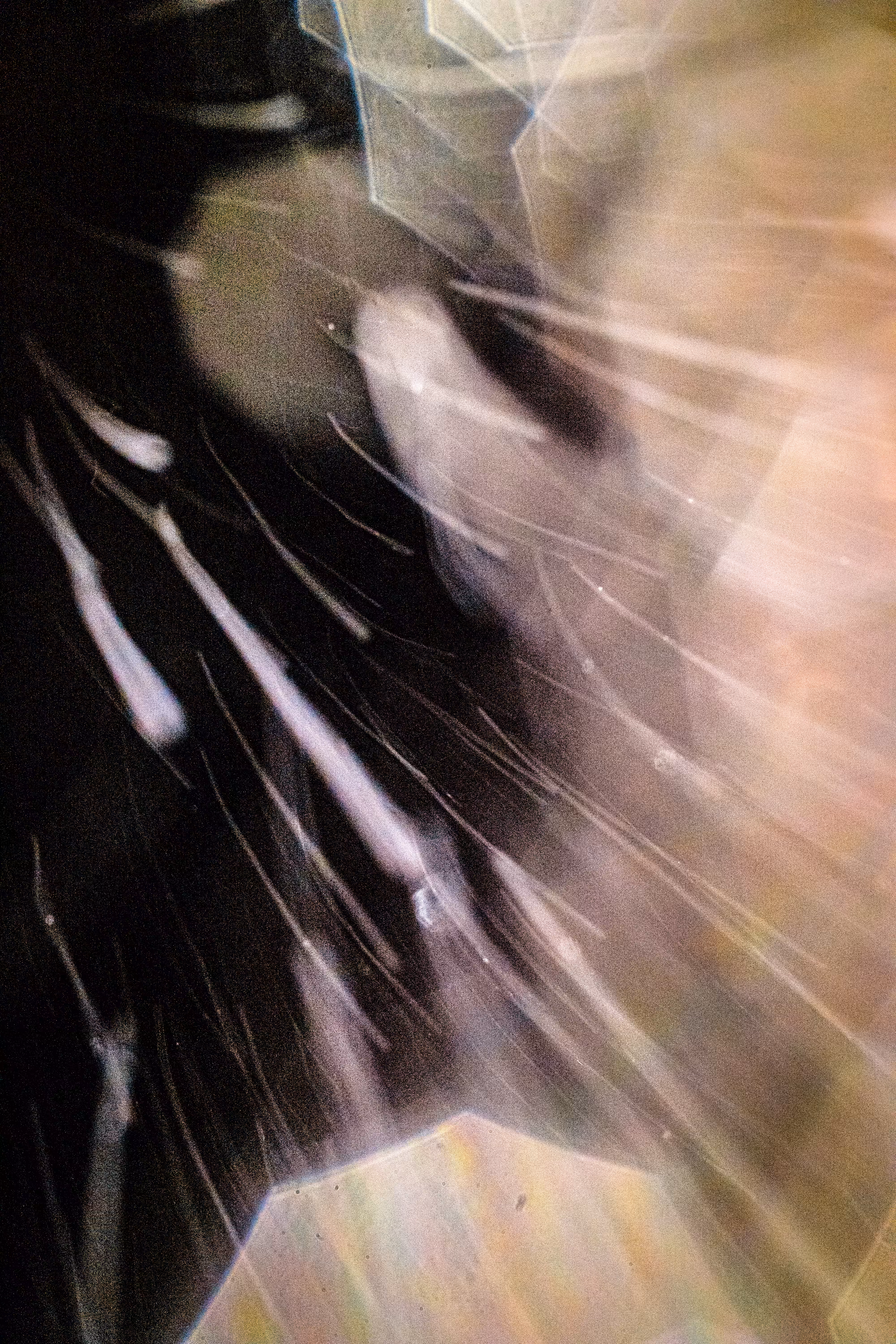 GISELXLIGHTSLURRY: L1210099 : An omen of the skies