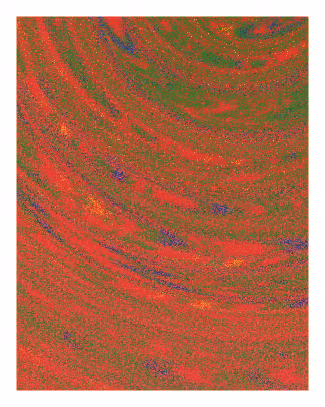 Pohā #25