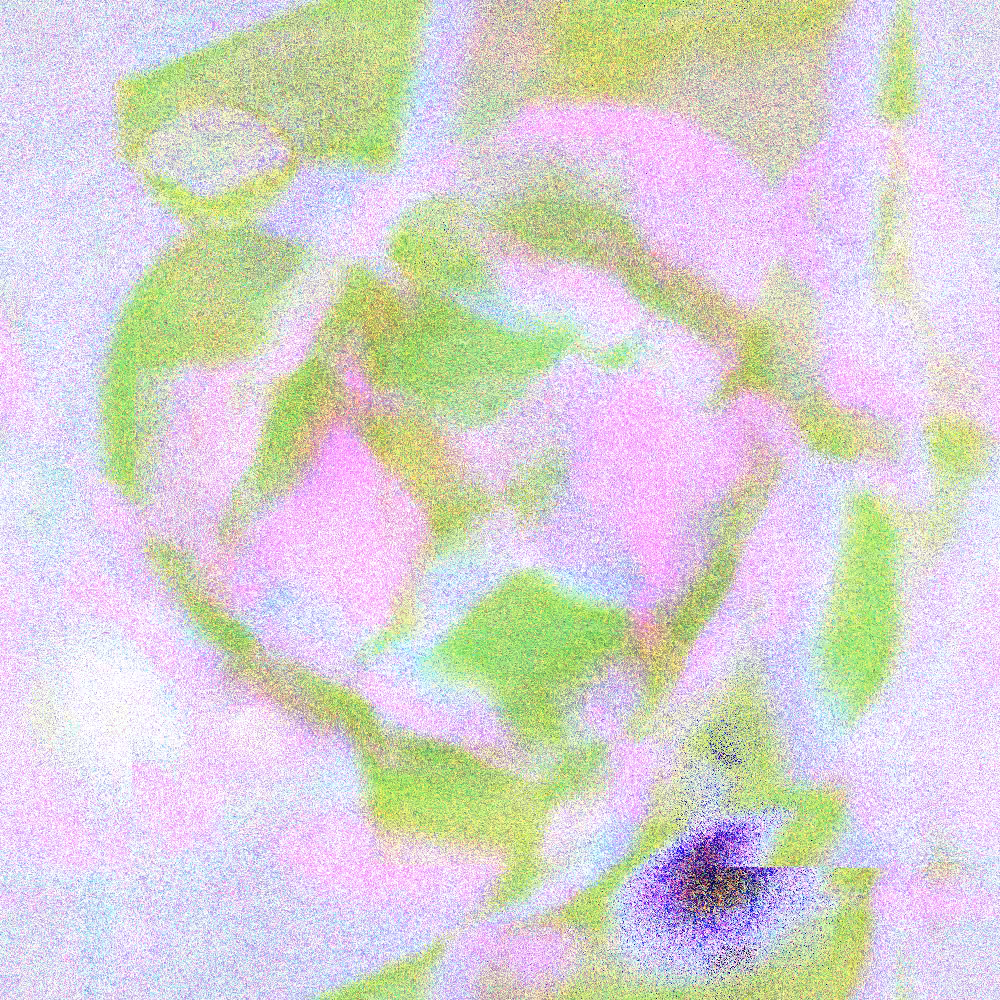 Abstract Activities #5 #2