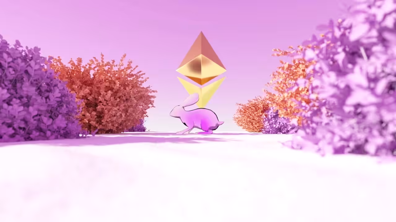 Enter The Bunnyverse