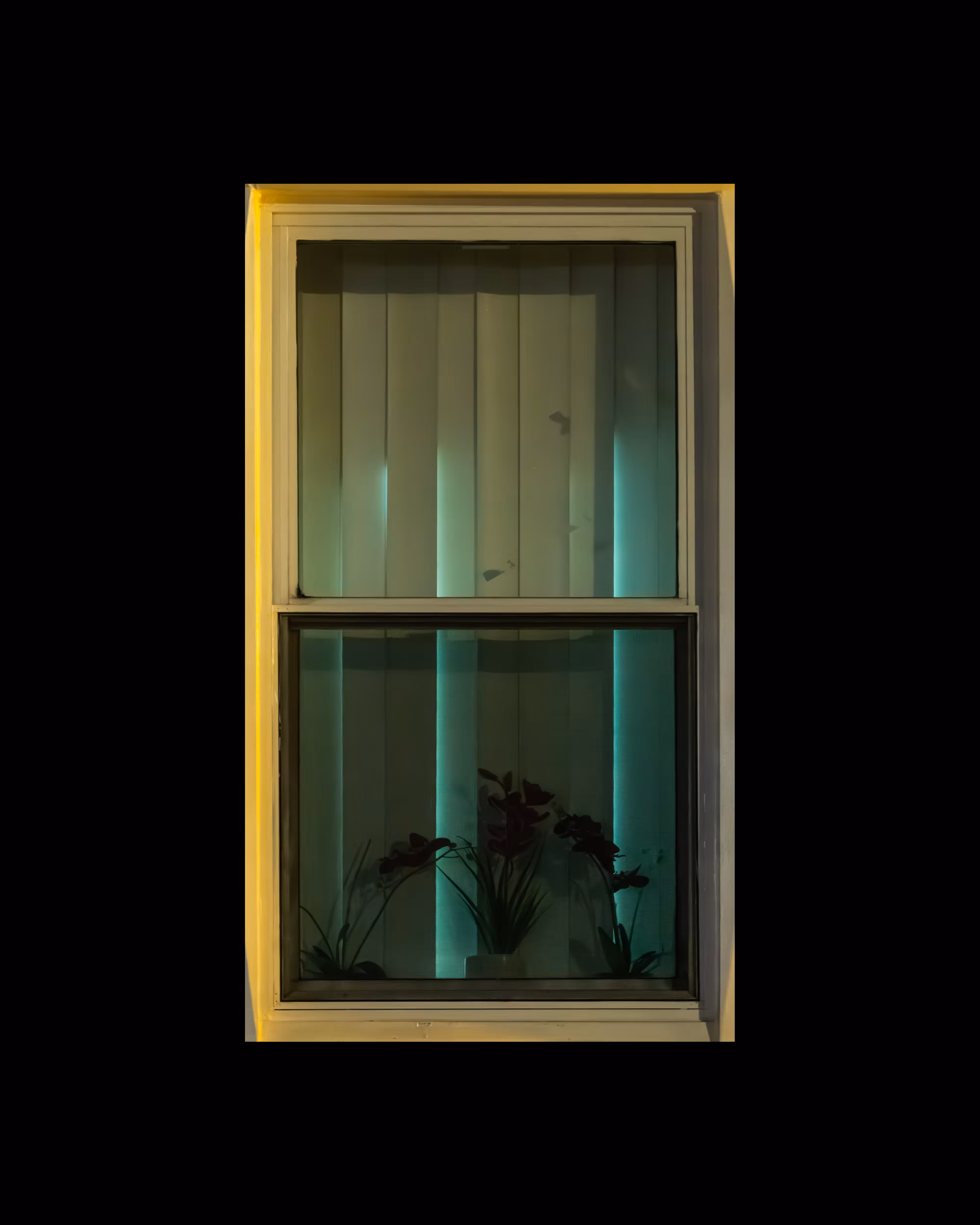 WINDOWS // NYC: WINDOW 524