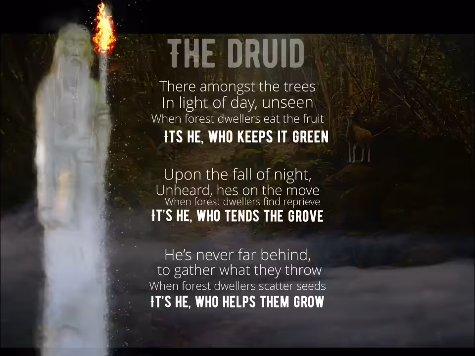 The Druid 