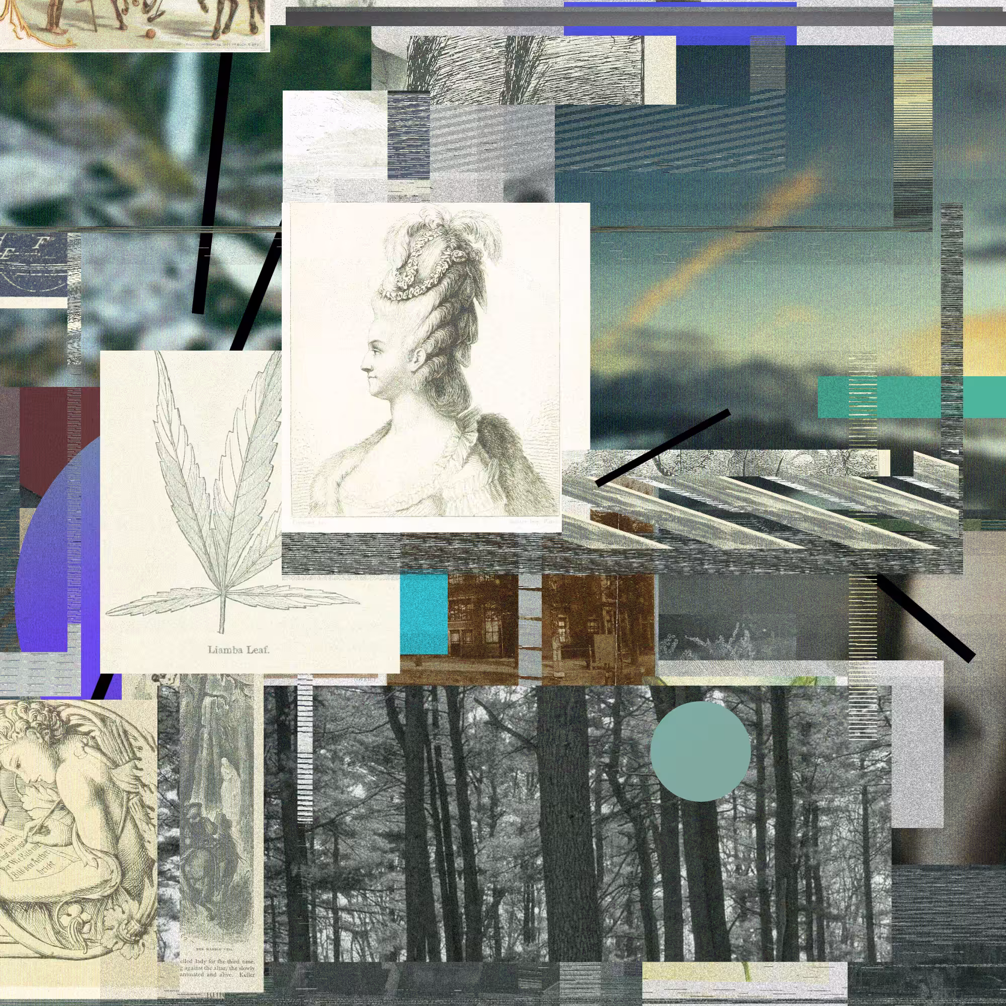 Unconscious Collages #807