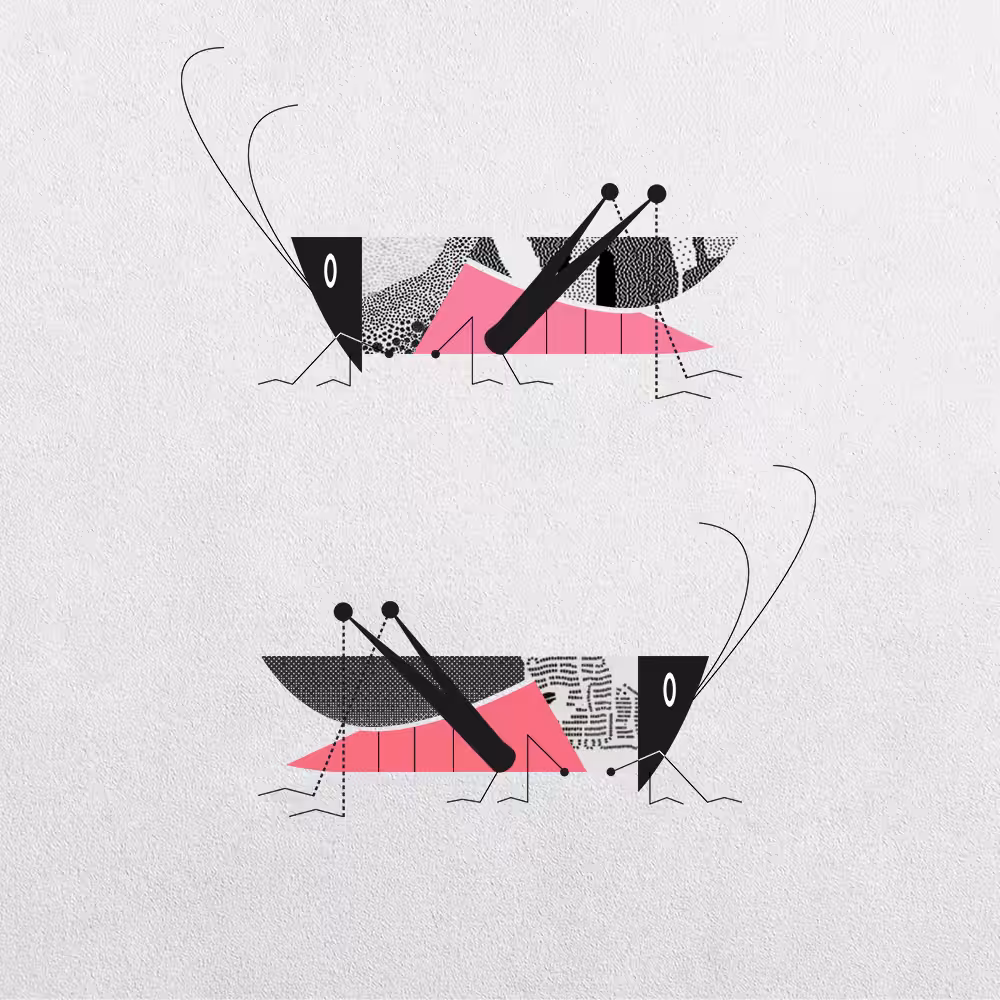 Grasshopper Abstraction #14