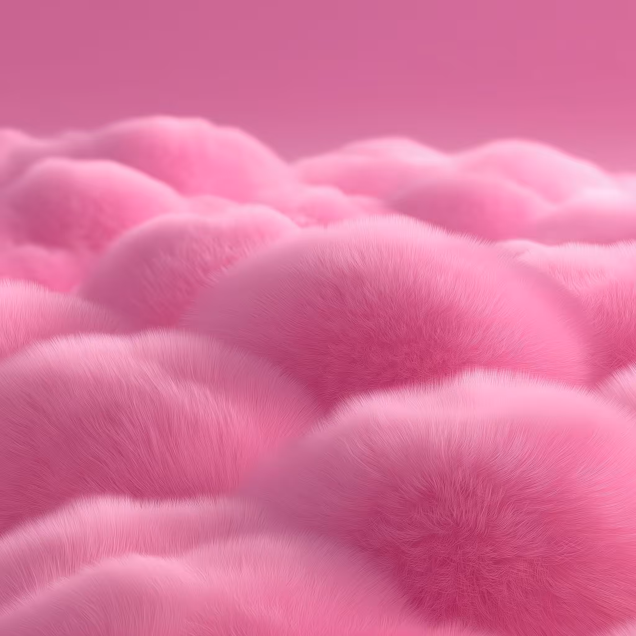 Pink Fluff 5