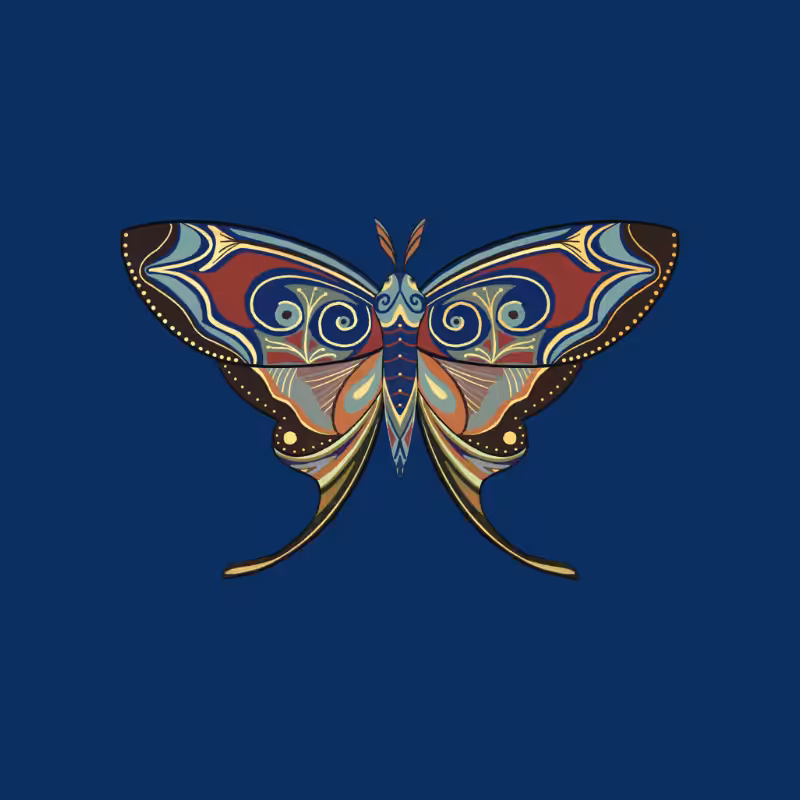 The Moth Experiment - Special Edition #11