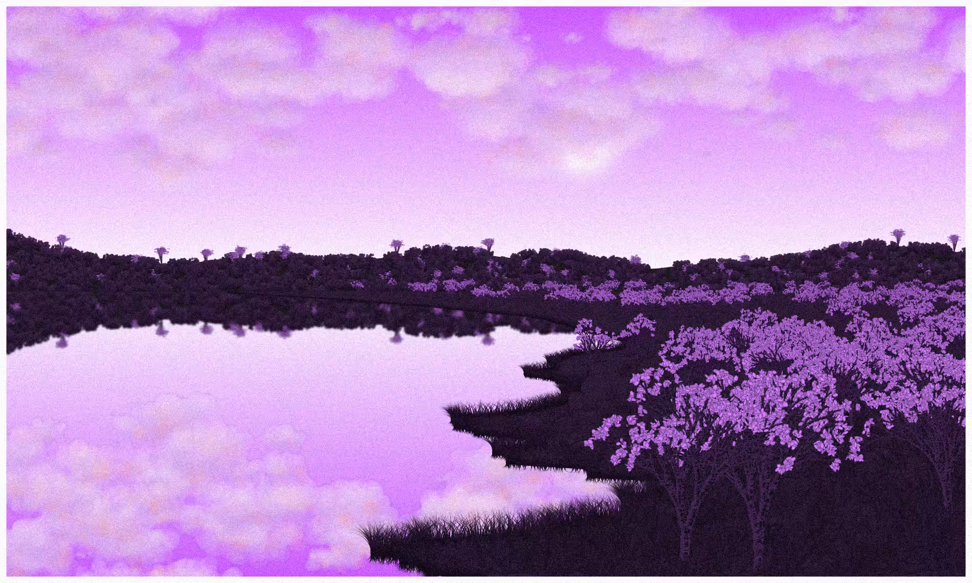 Reflected #37