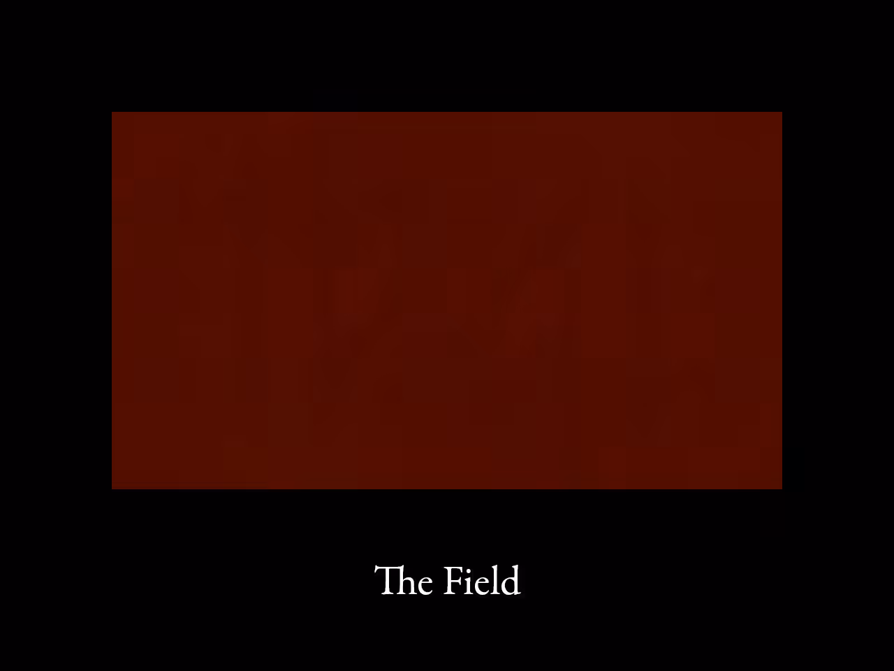 Extracts from The Mystical Microzoology of Mathematics Control Layers