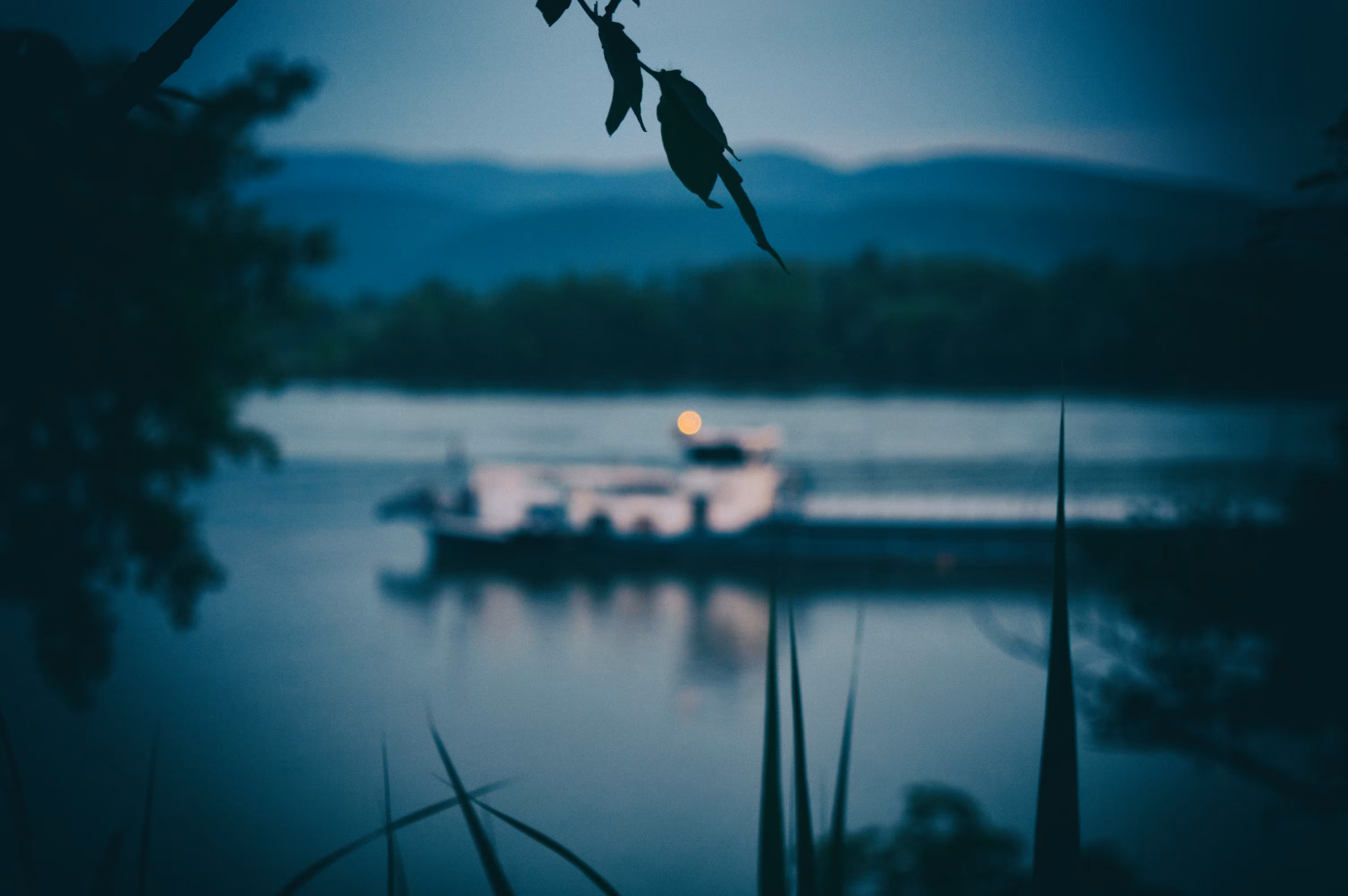 Living by the Danube - Resting