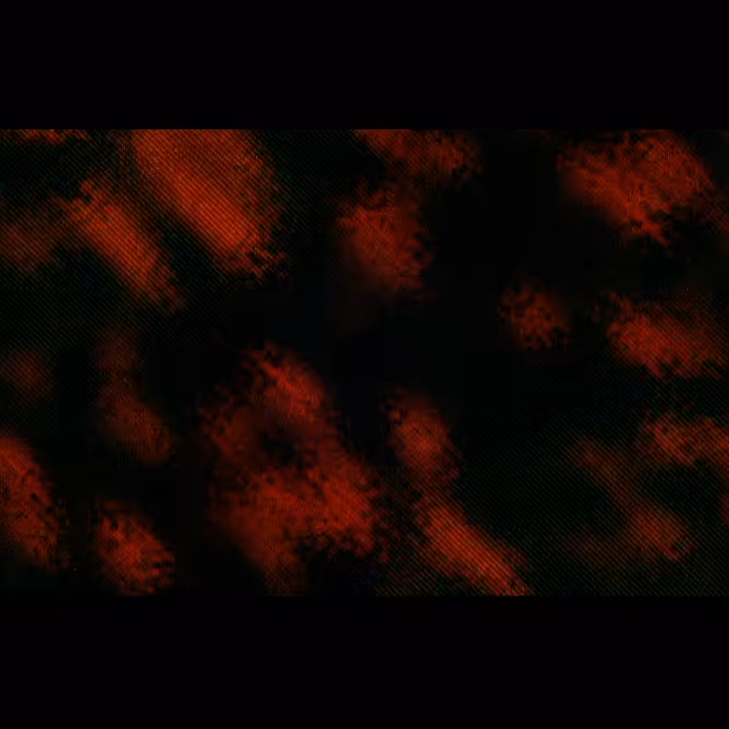 ƧЦBƧƬЯΛƬӨ DΣ PӨΣIЯΛ #45