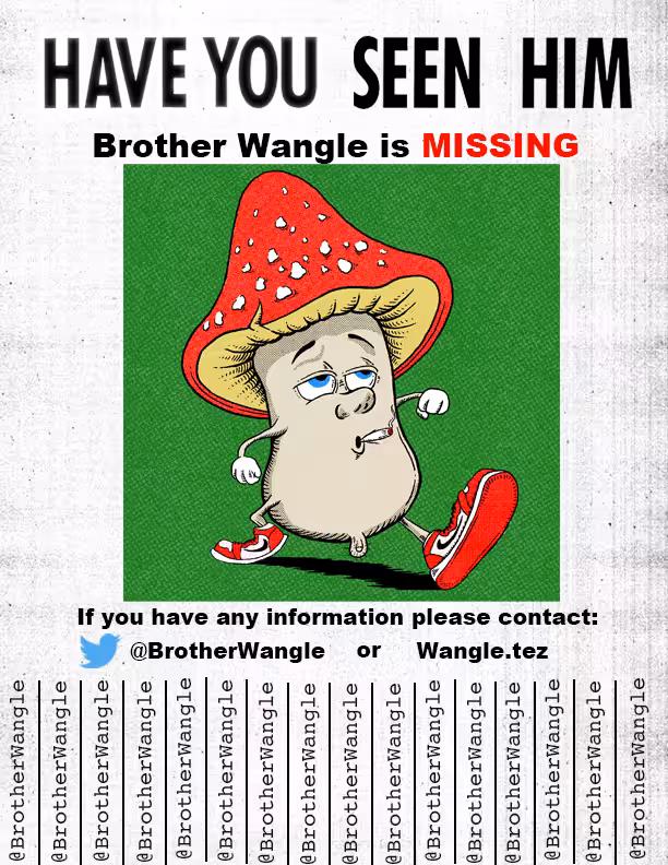 Missing Wangle 27