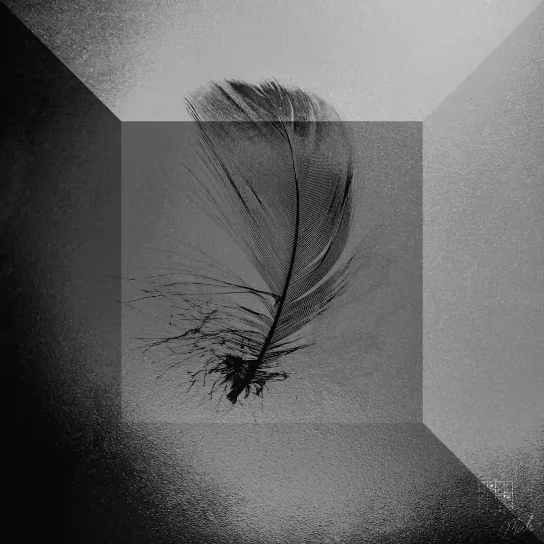 Feather from Fire #3