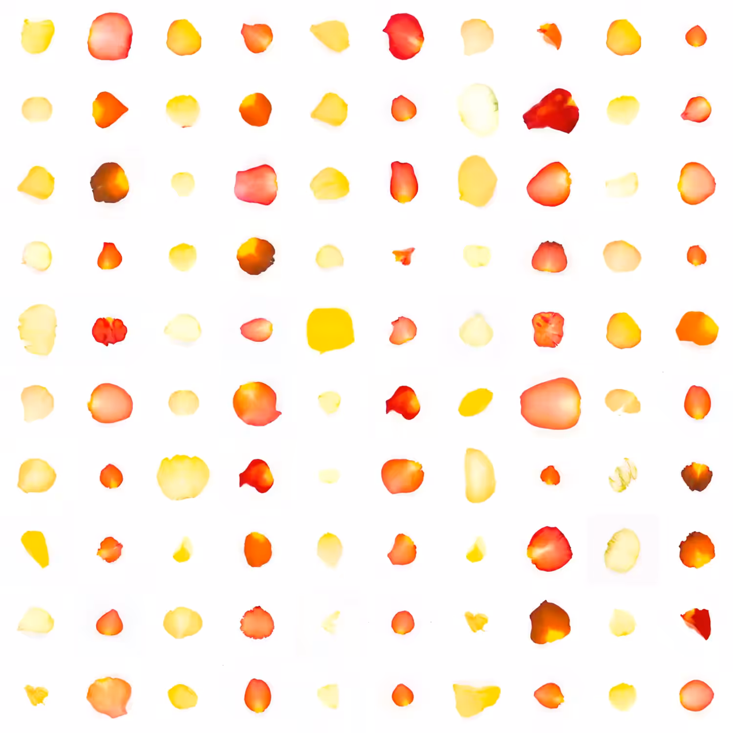 Infinite Petals 10x10#1473