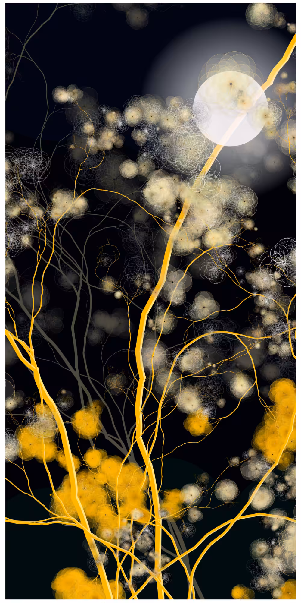 September Mond #81