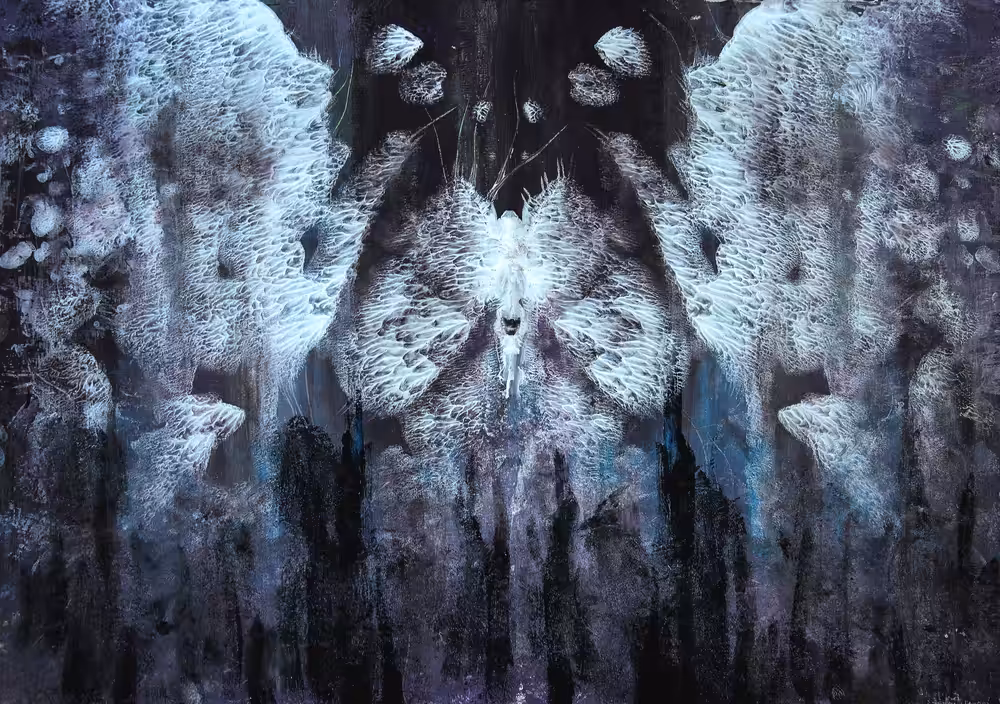 MOTH 1 #1