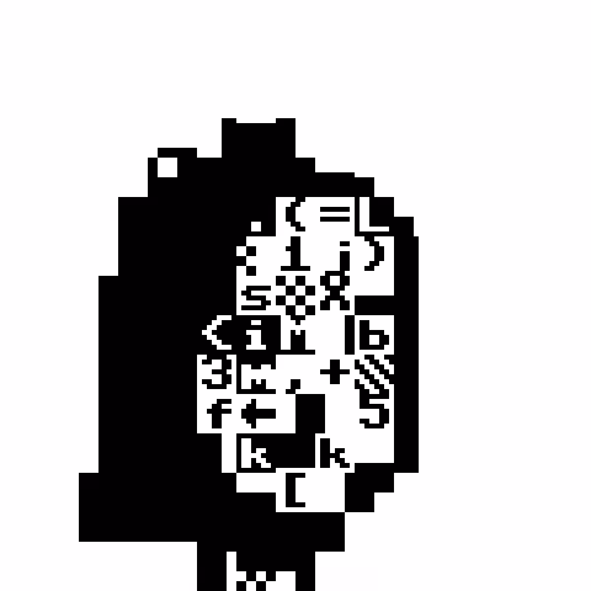 PET Punk 488