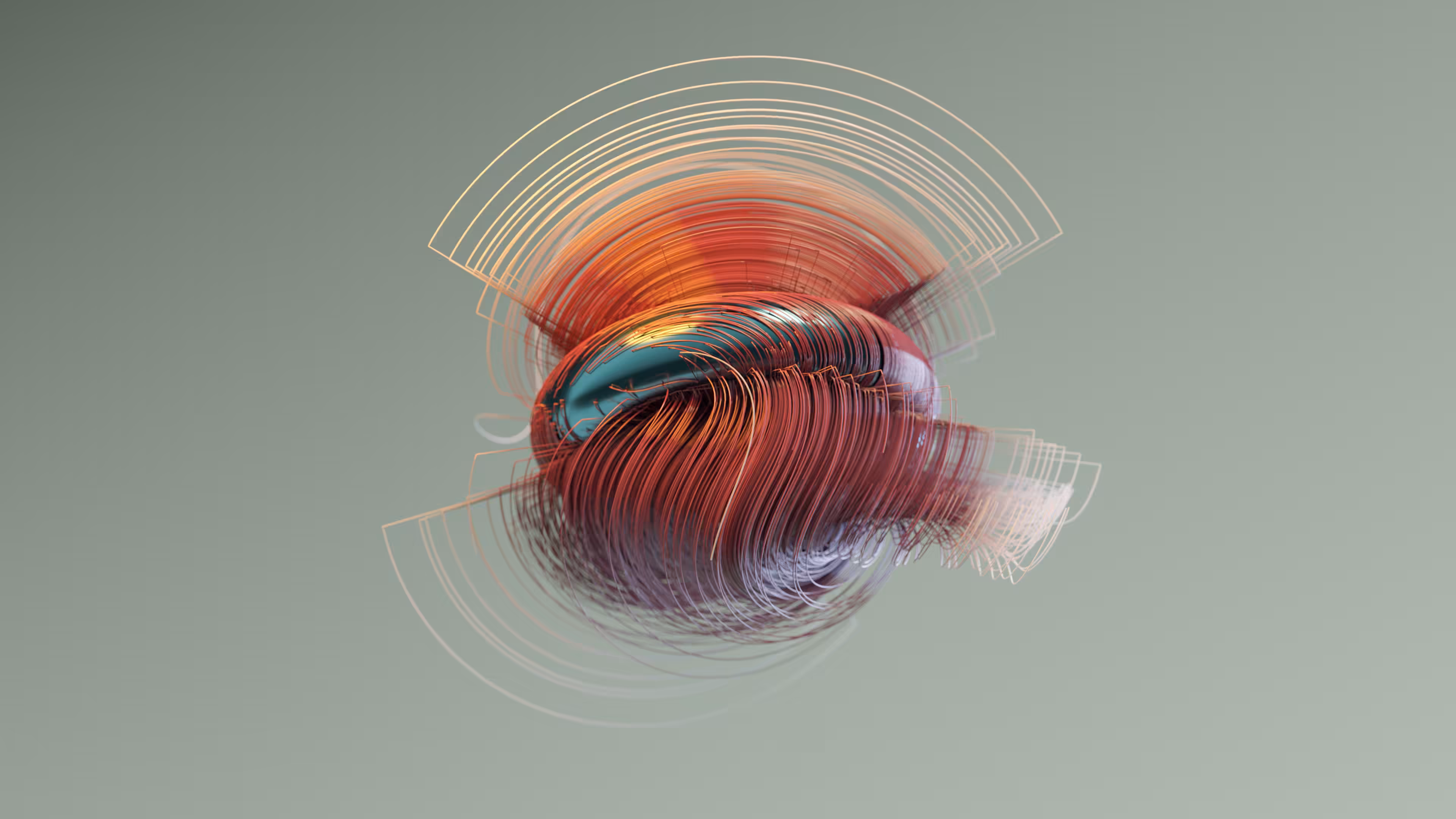 Torus attracting #2