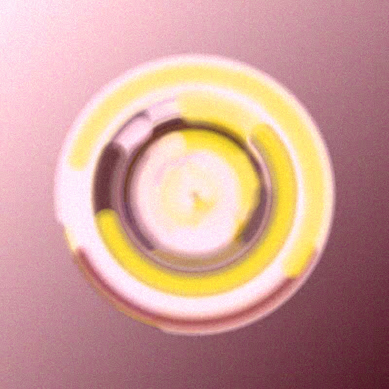 Wisp #933