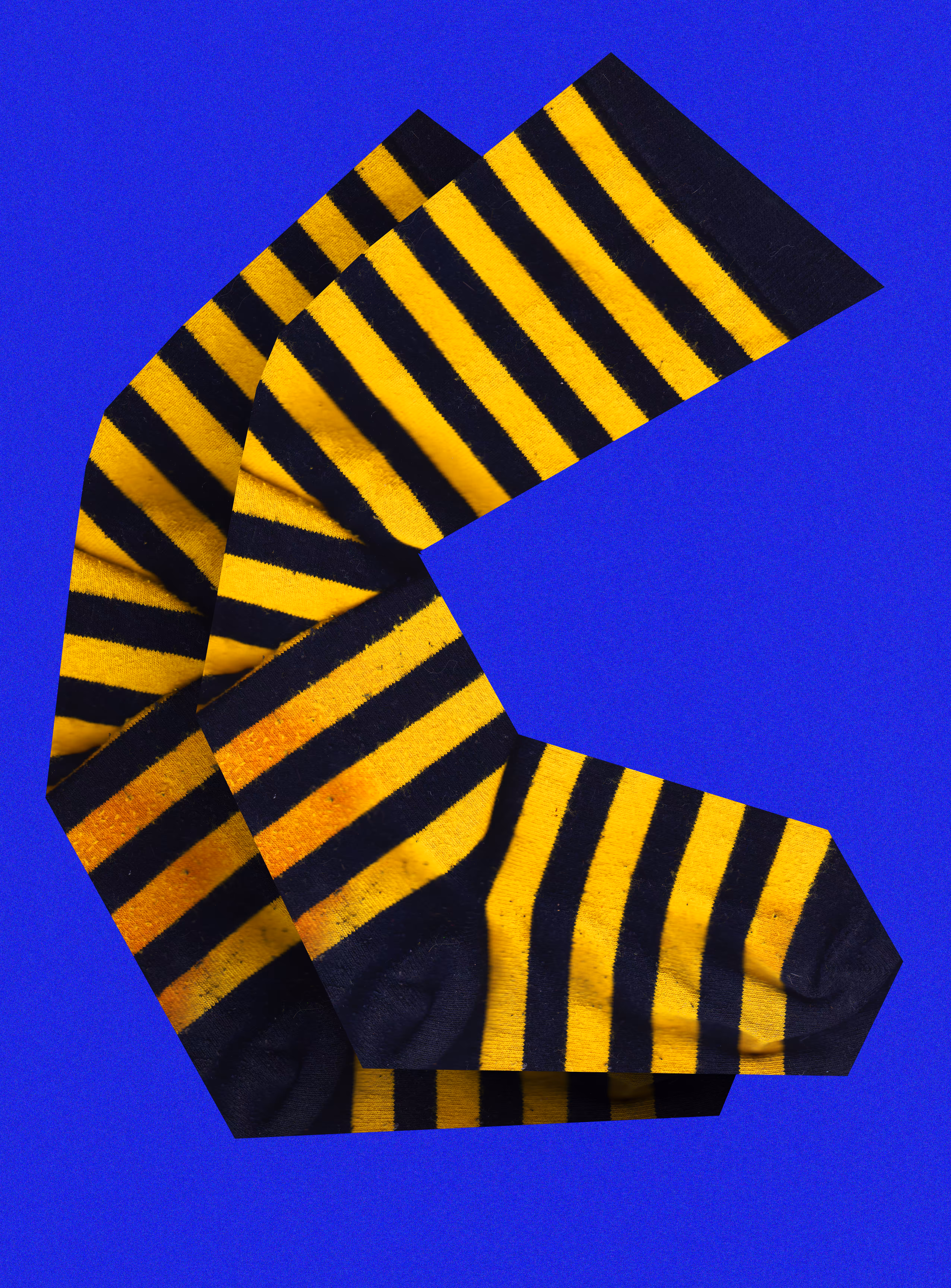 BEE SOCKES FROM MR. SQUEAKY 