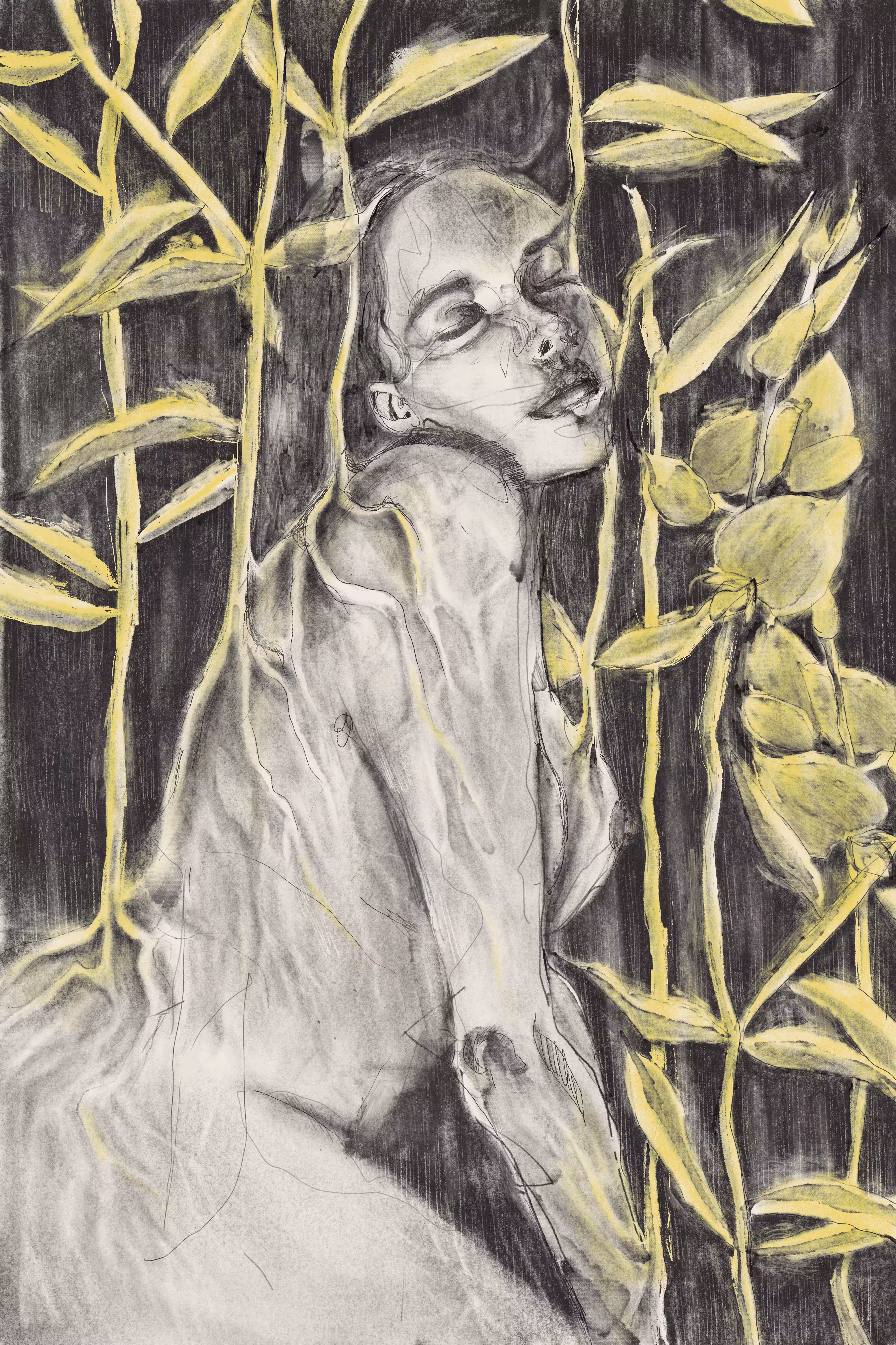 Terra et Crotalaria
