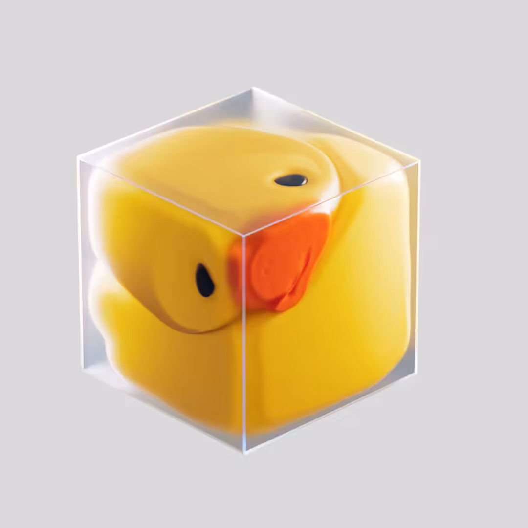 Duck in a Box