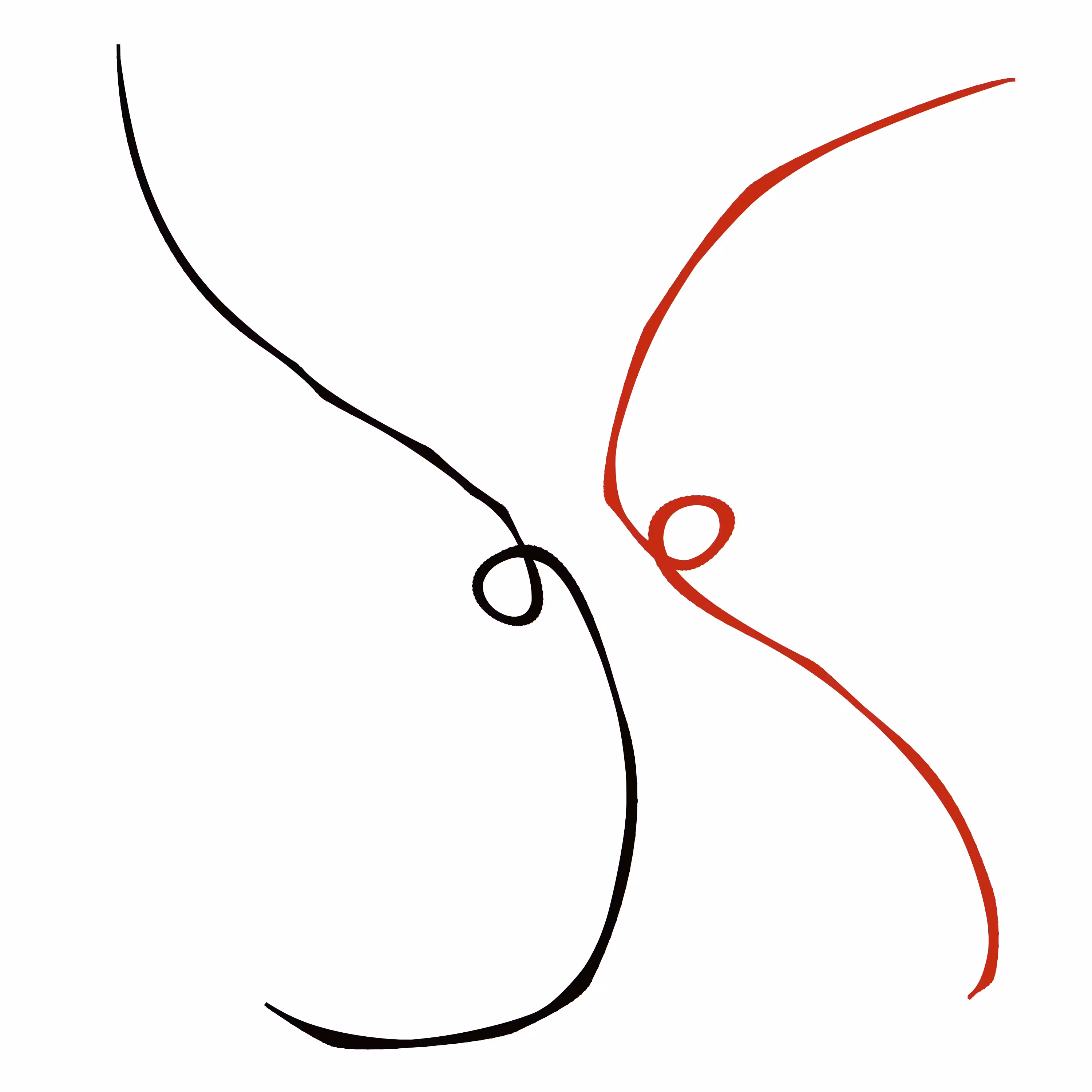 tz3Q