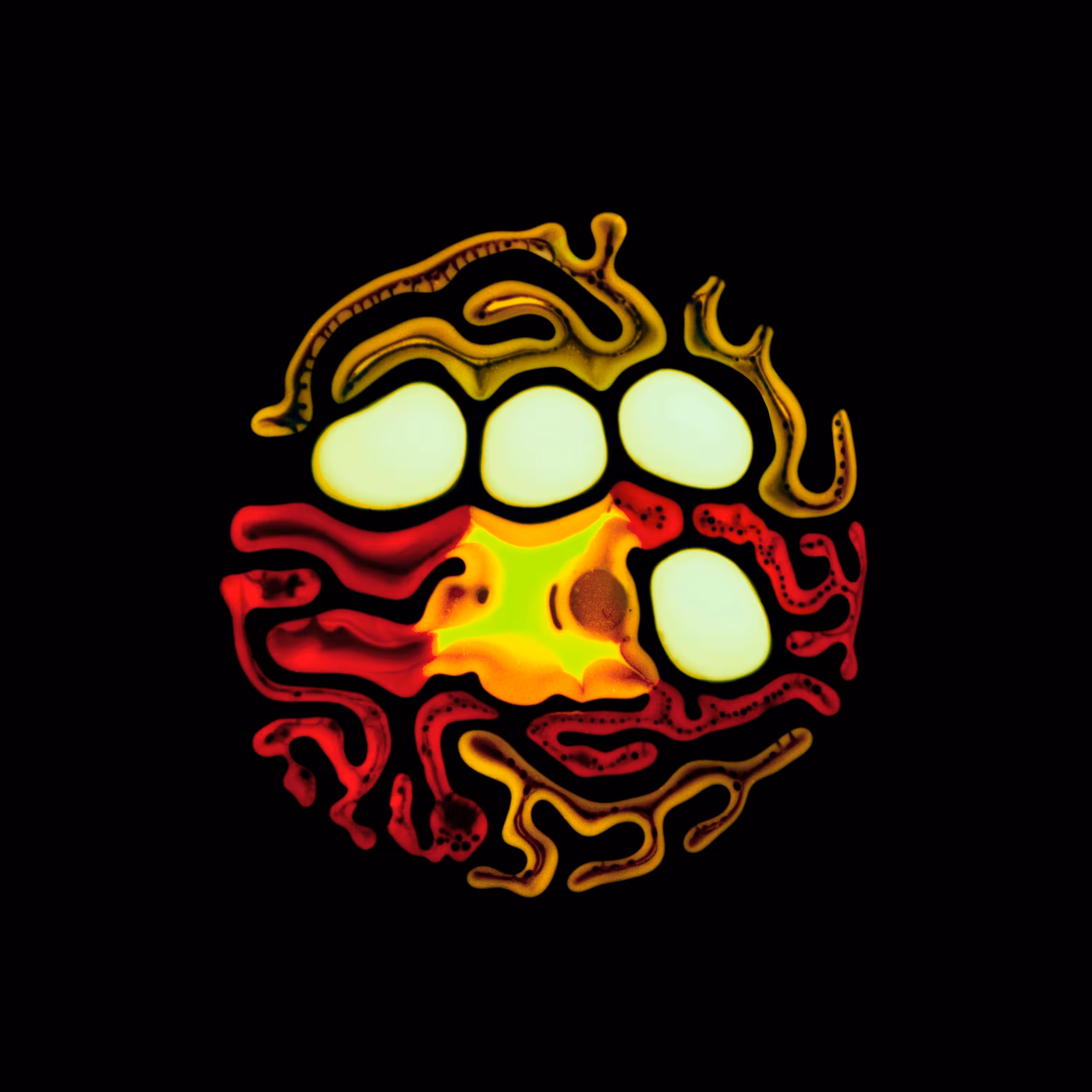 Haematopoiesis #153