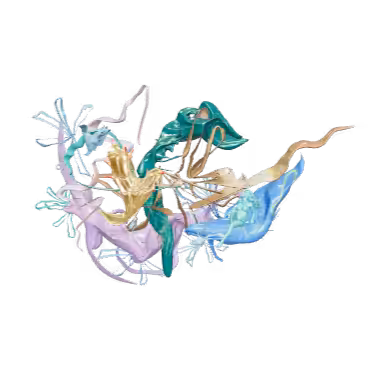 aquamarine 