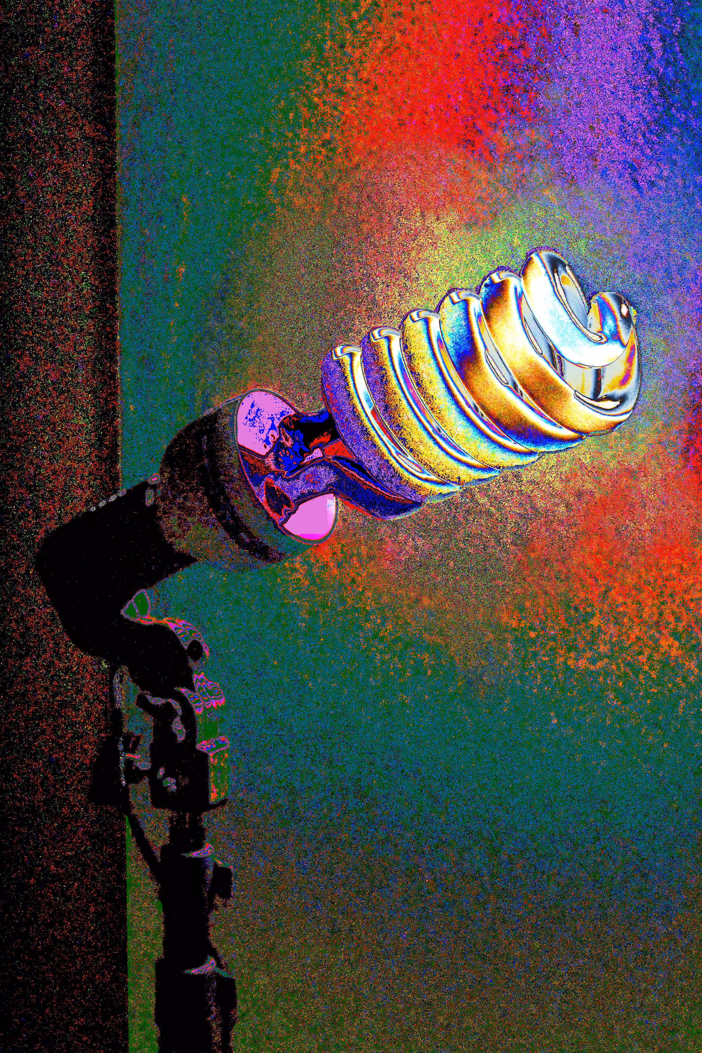 Microphone